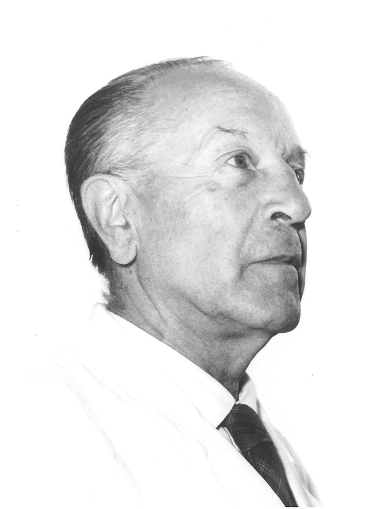 Ferdinand Morel