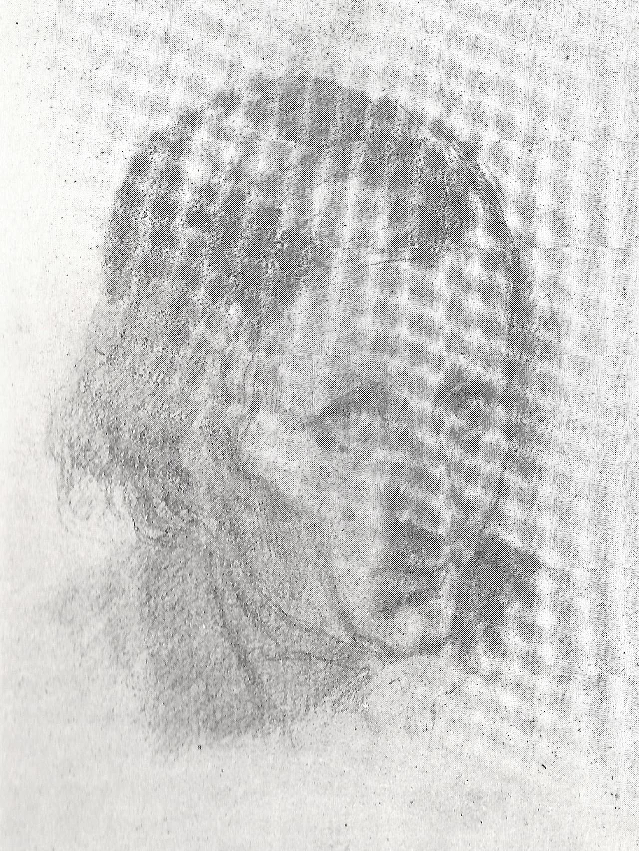 François Désiré Roulin