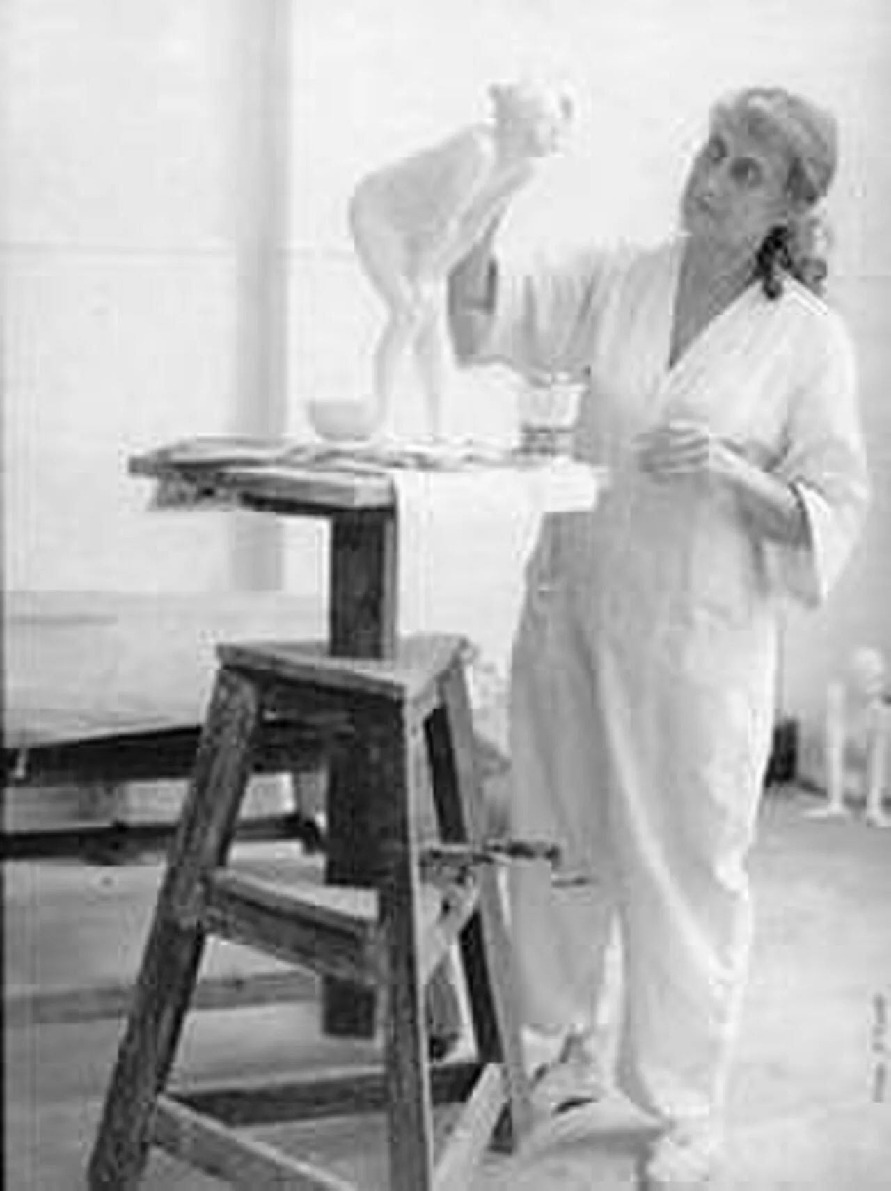 Françoise Naudet
