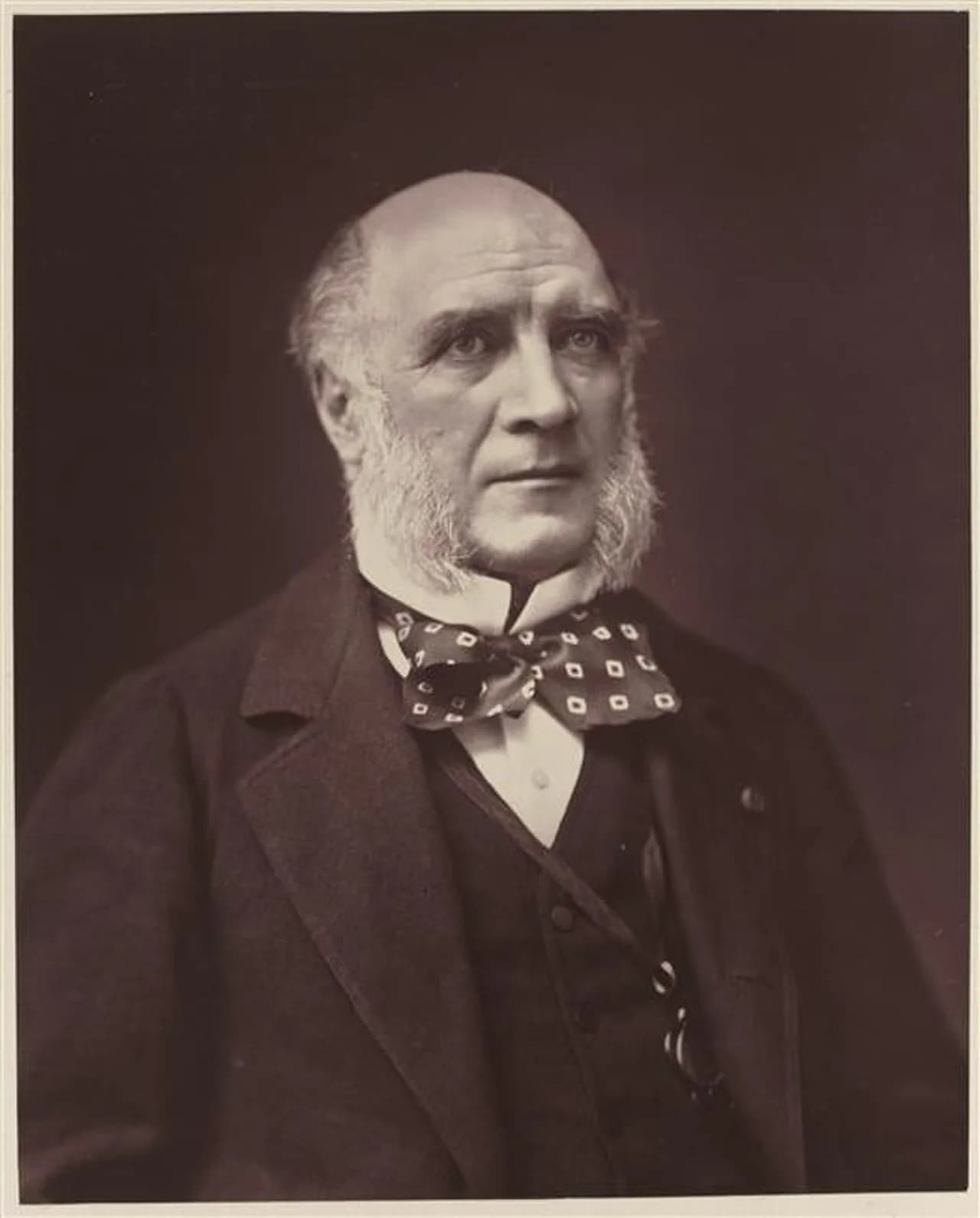 Louis Charles Elie Victe Decazes