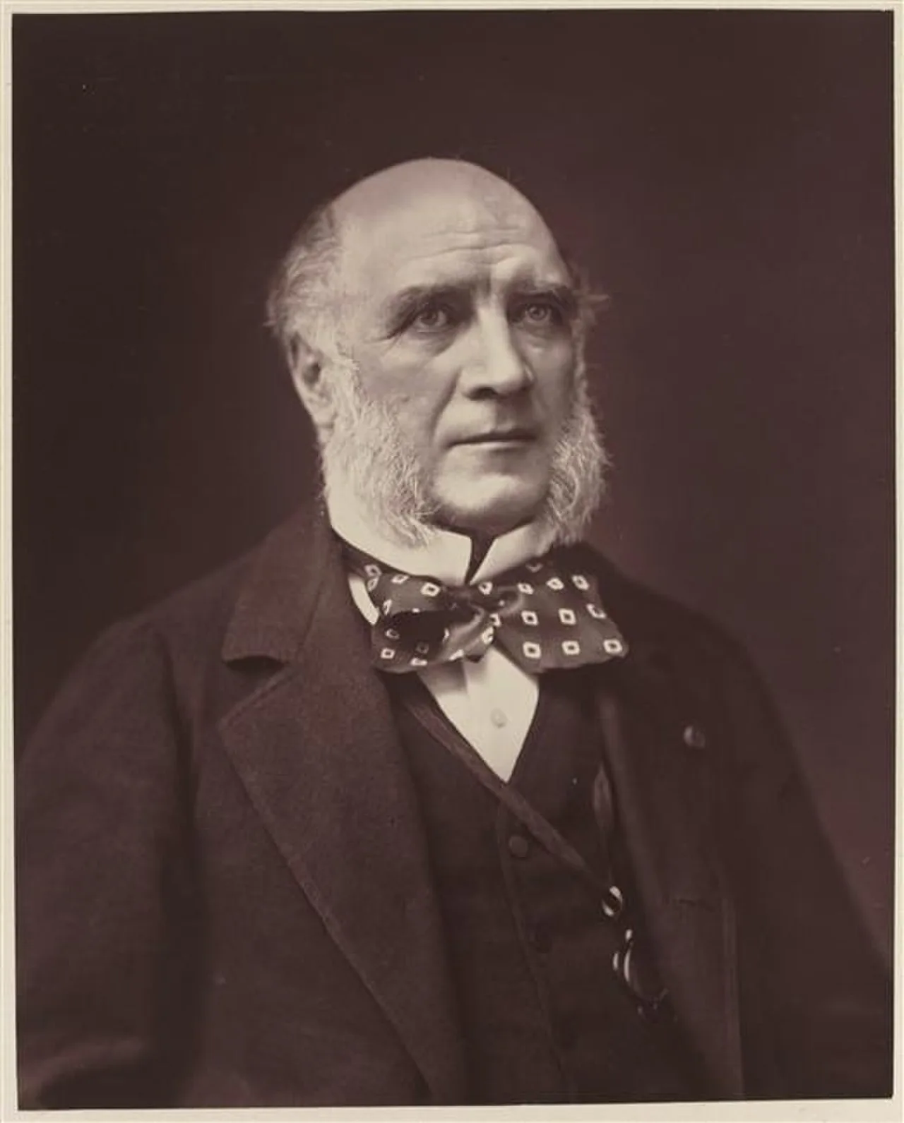 Louis Charles Elie Victe Decazes