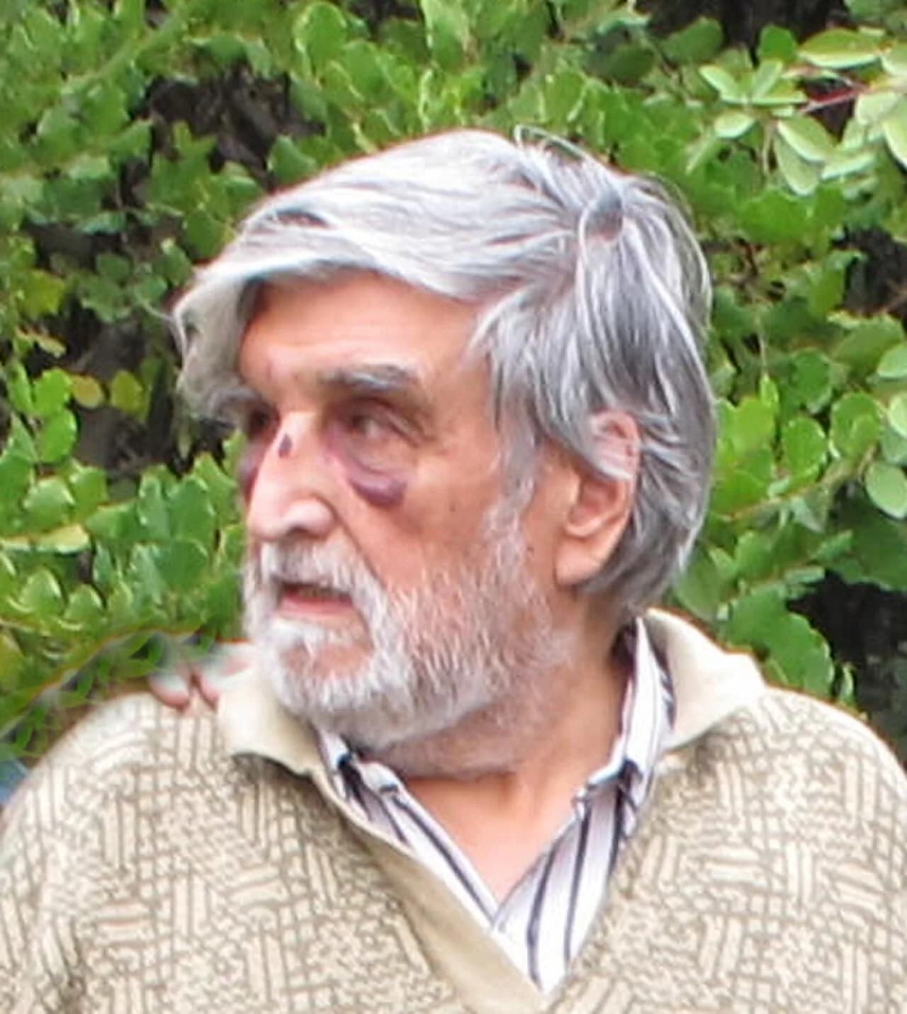 Guillermo Núñez