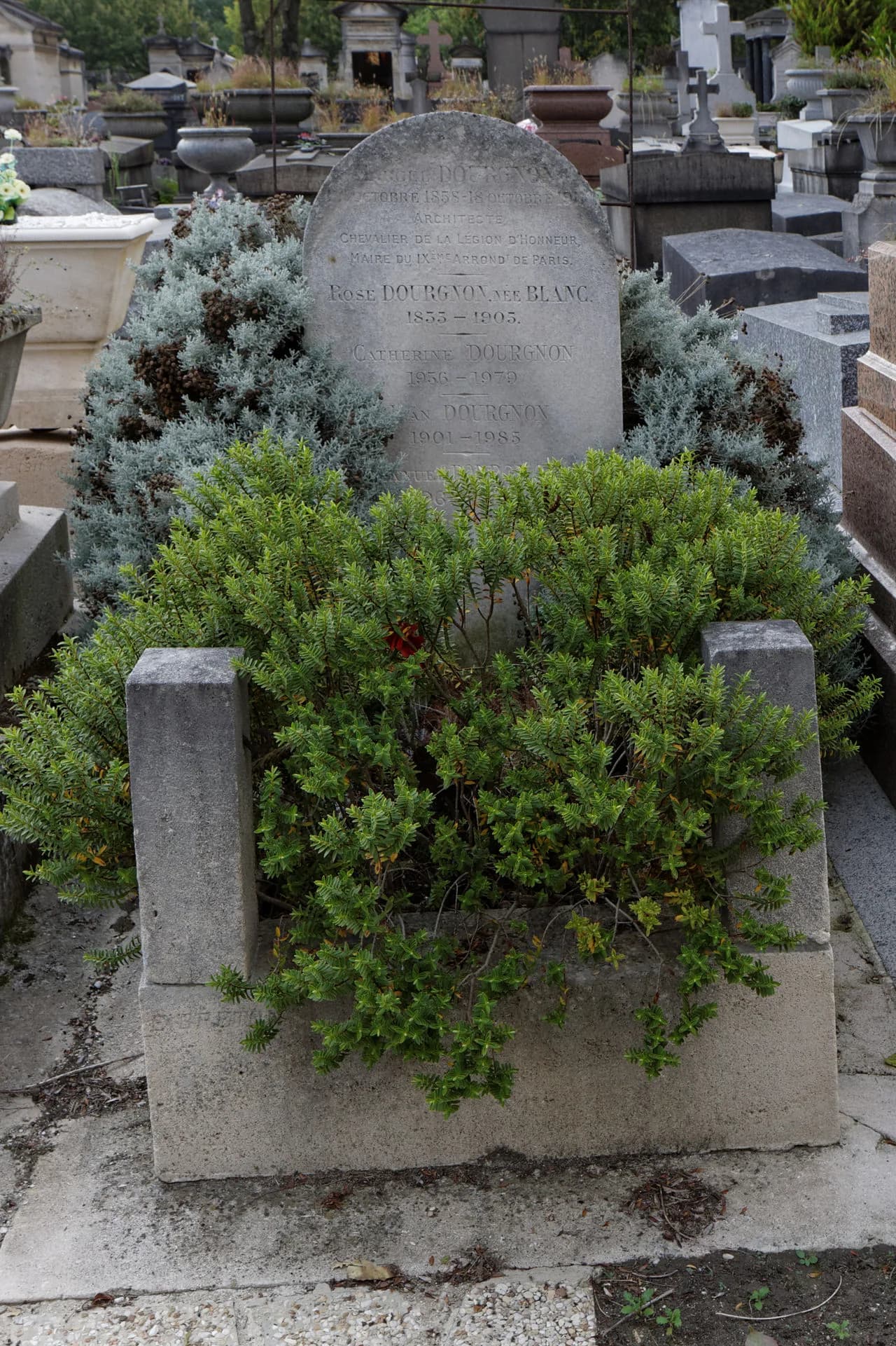 Jean Dourgnon