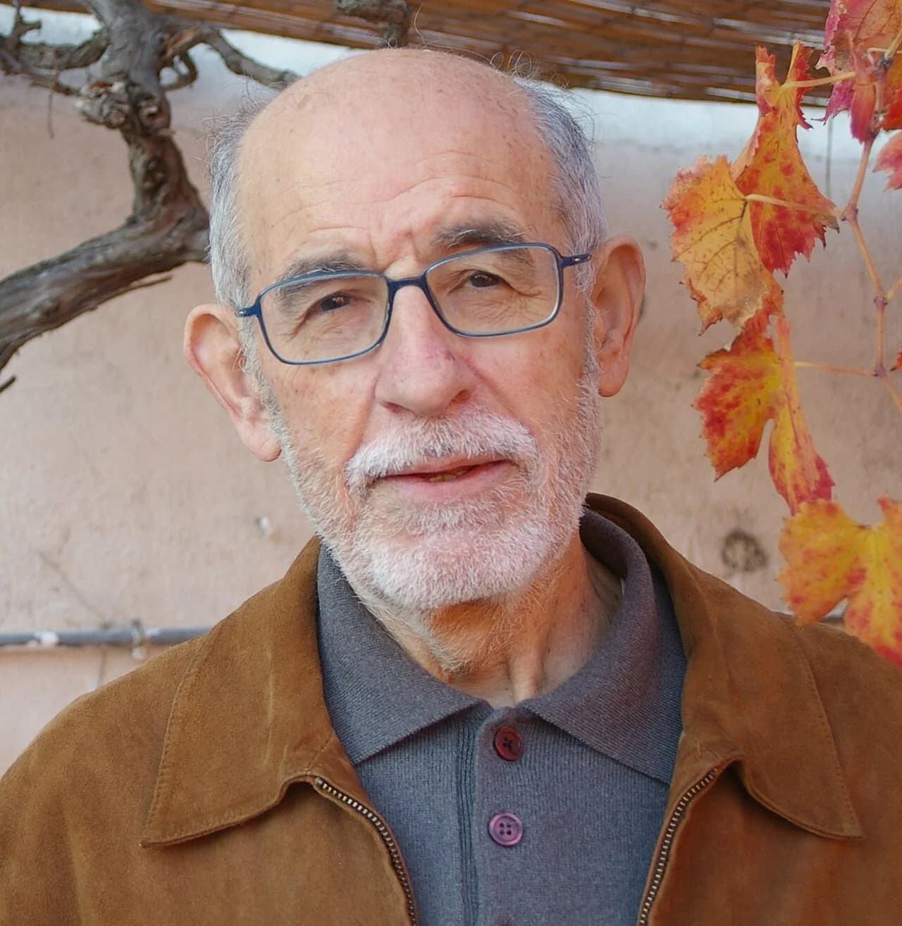Joan Solà i Cortassa