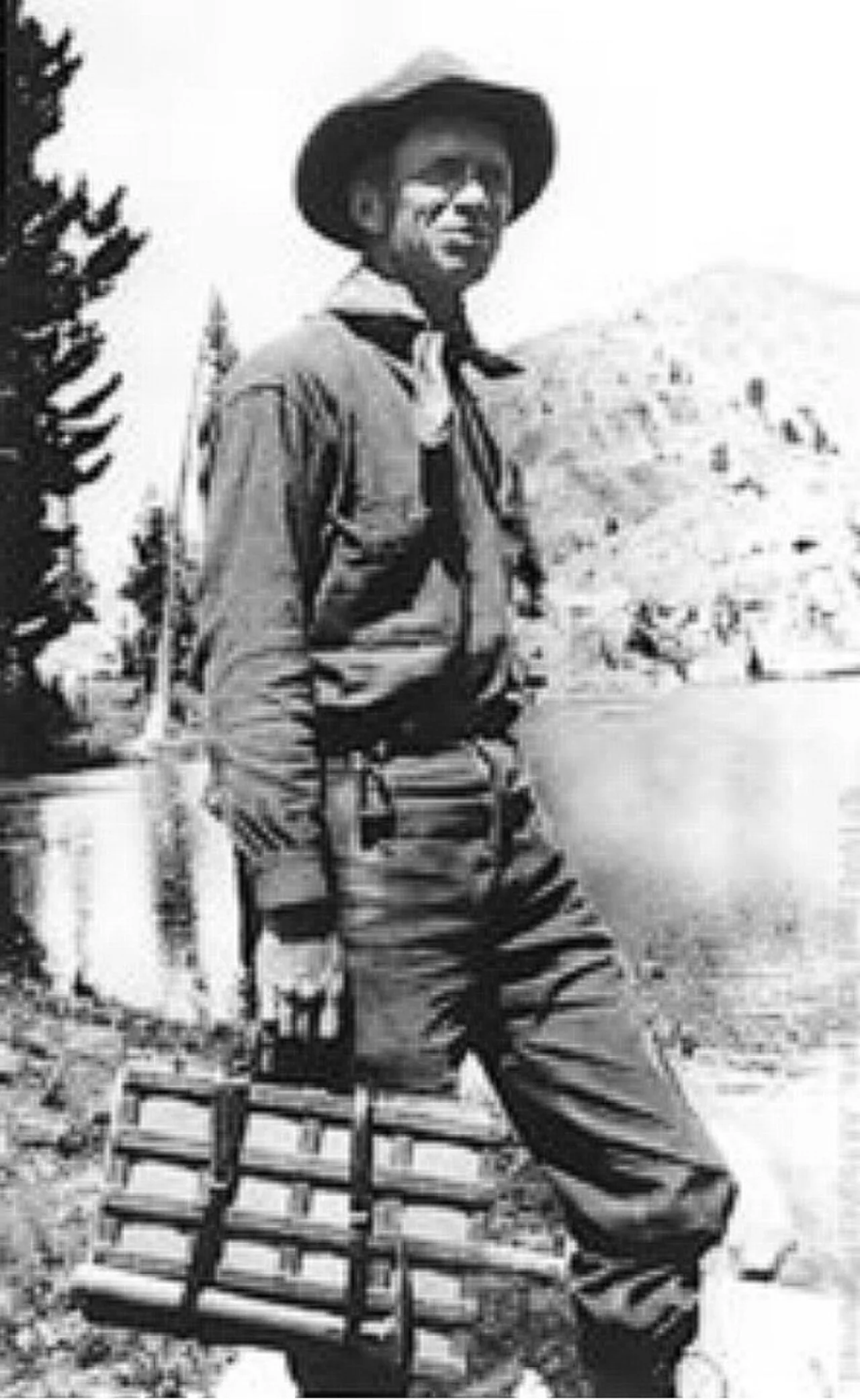 Willis Linn Jepson