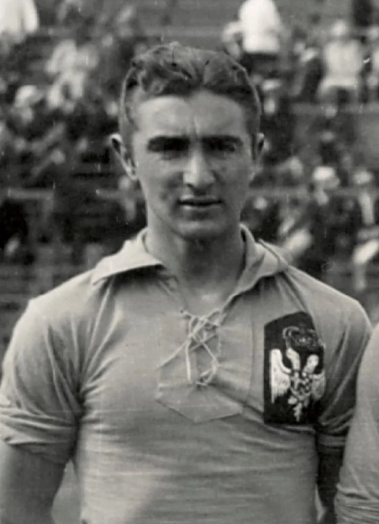 Milorad Mitrović
