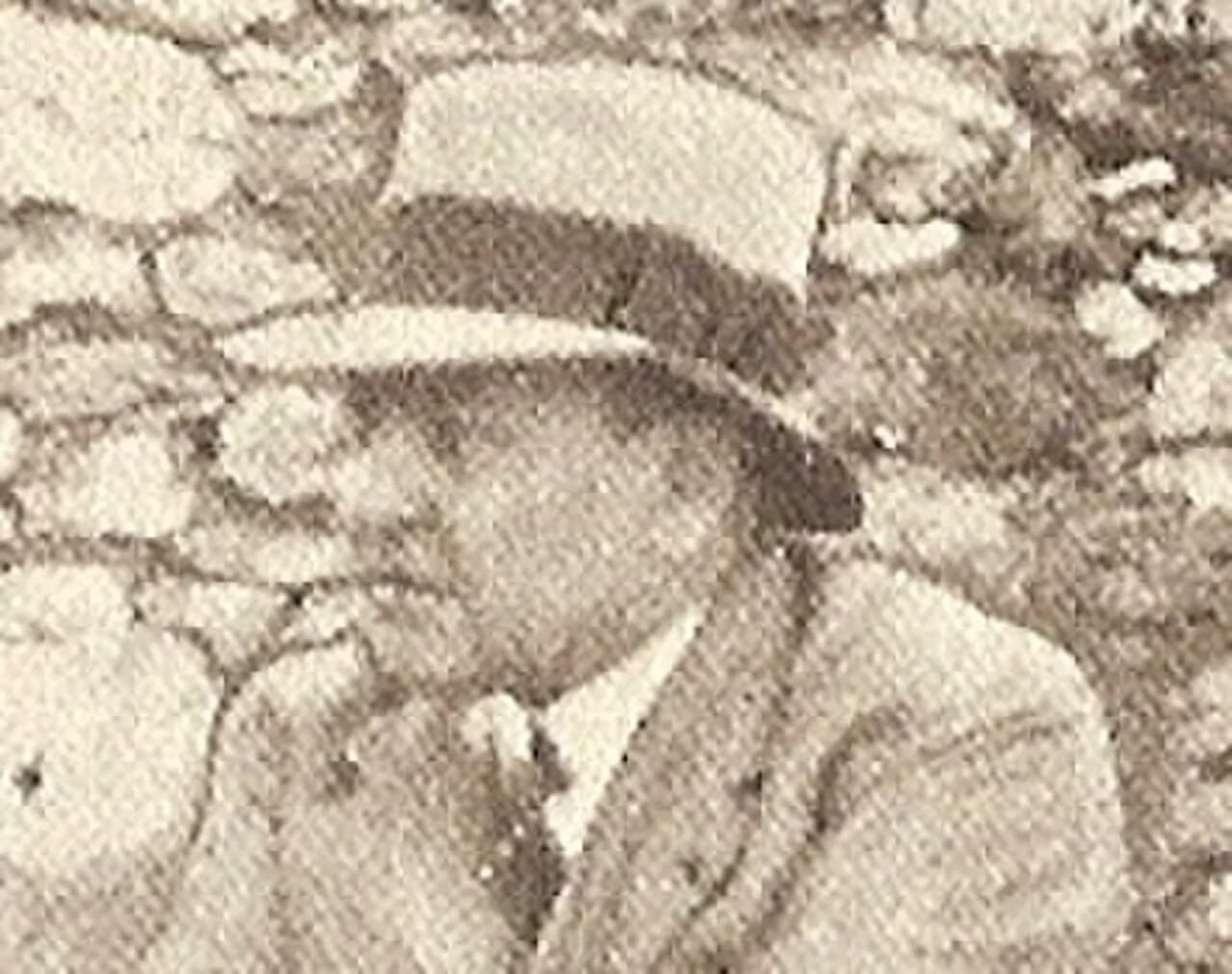 René Milan