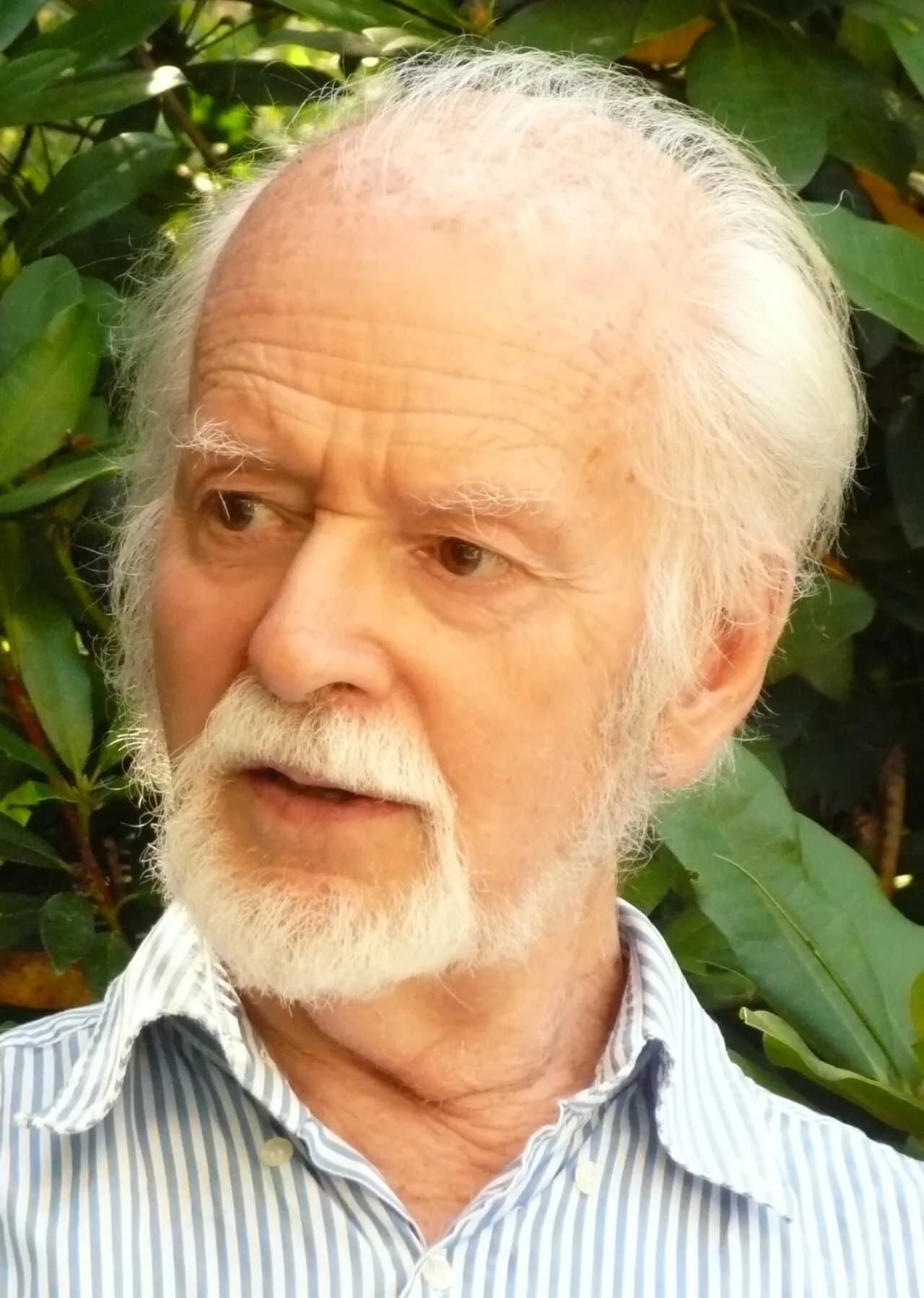 Rene Thomas