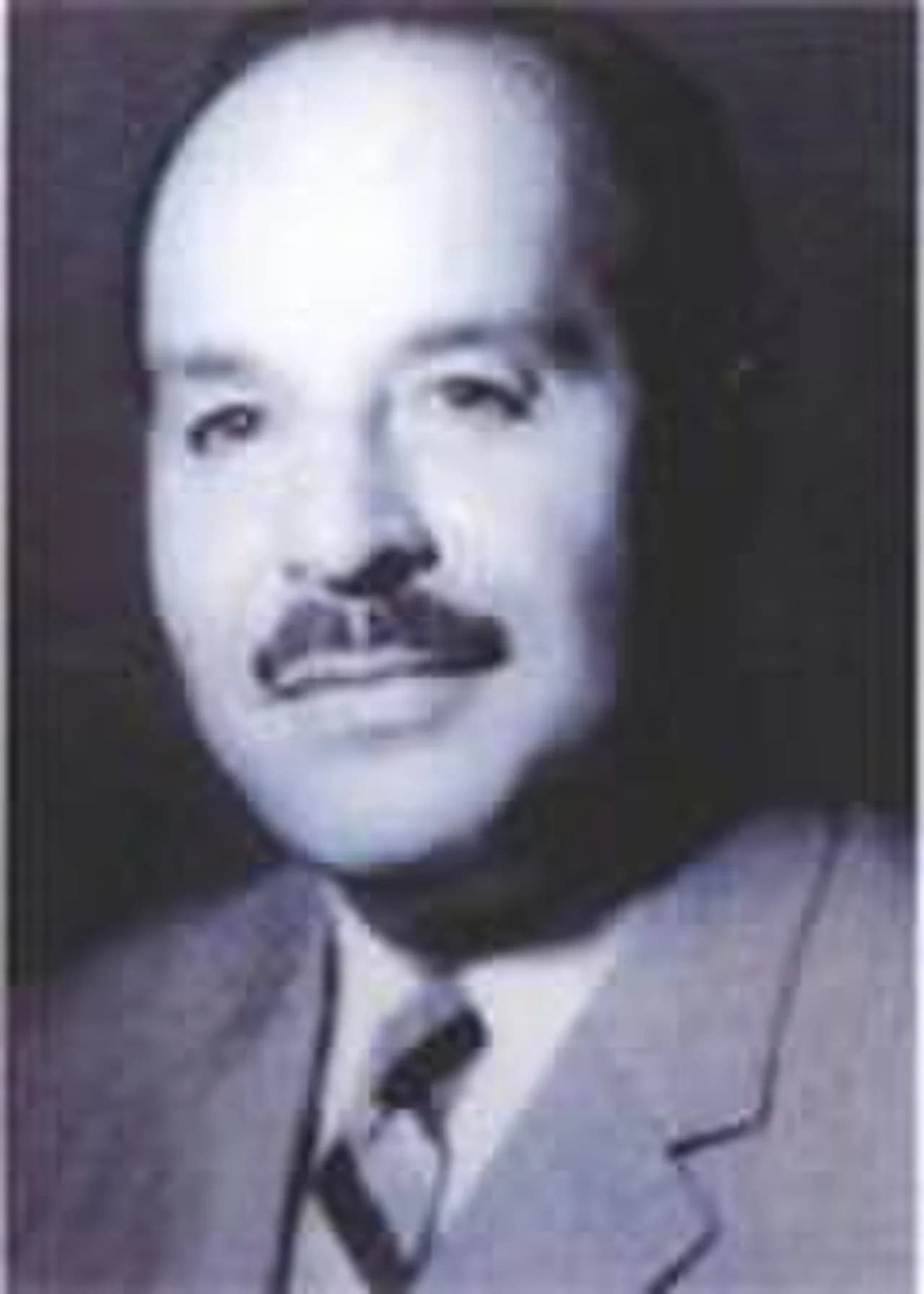 Fawzi al-Mulki