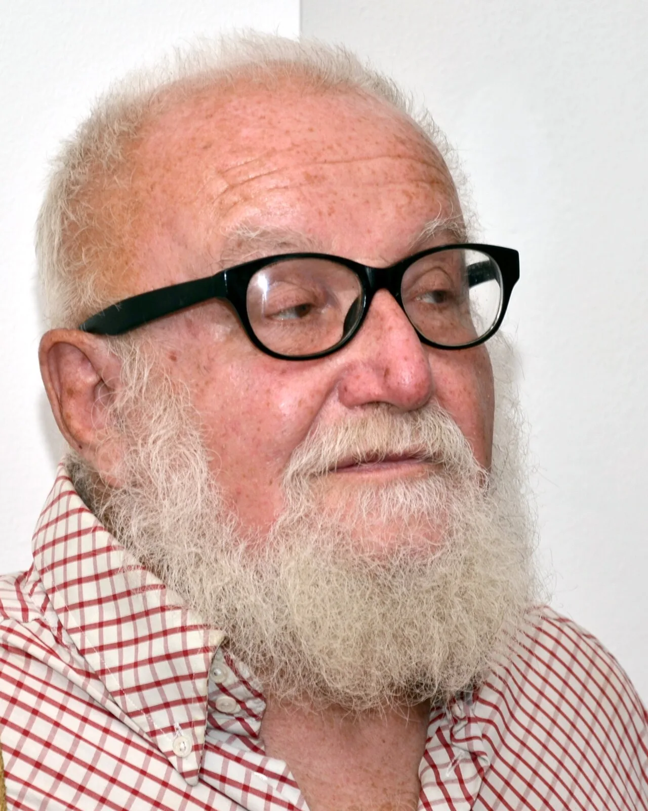 Ivo Medek