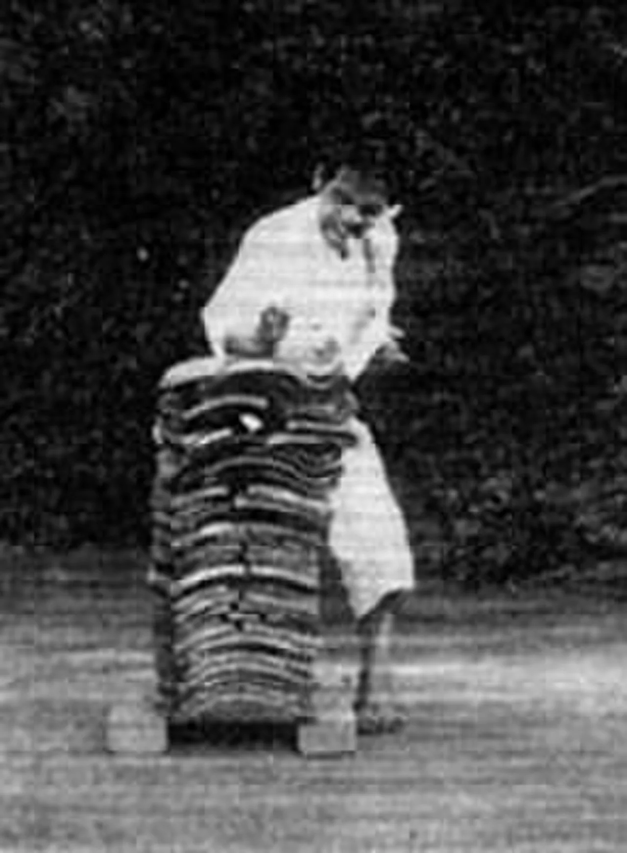 Seiken Shukumine