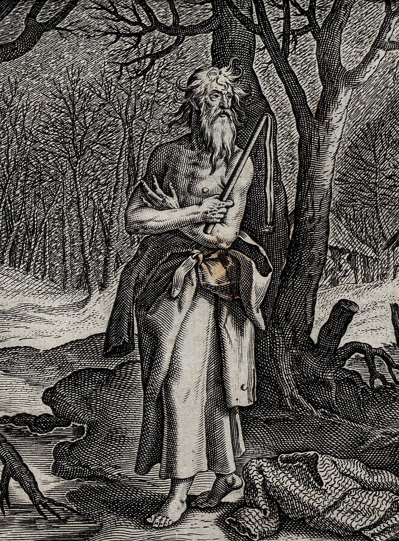 Dominic Loricatus