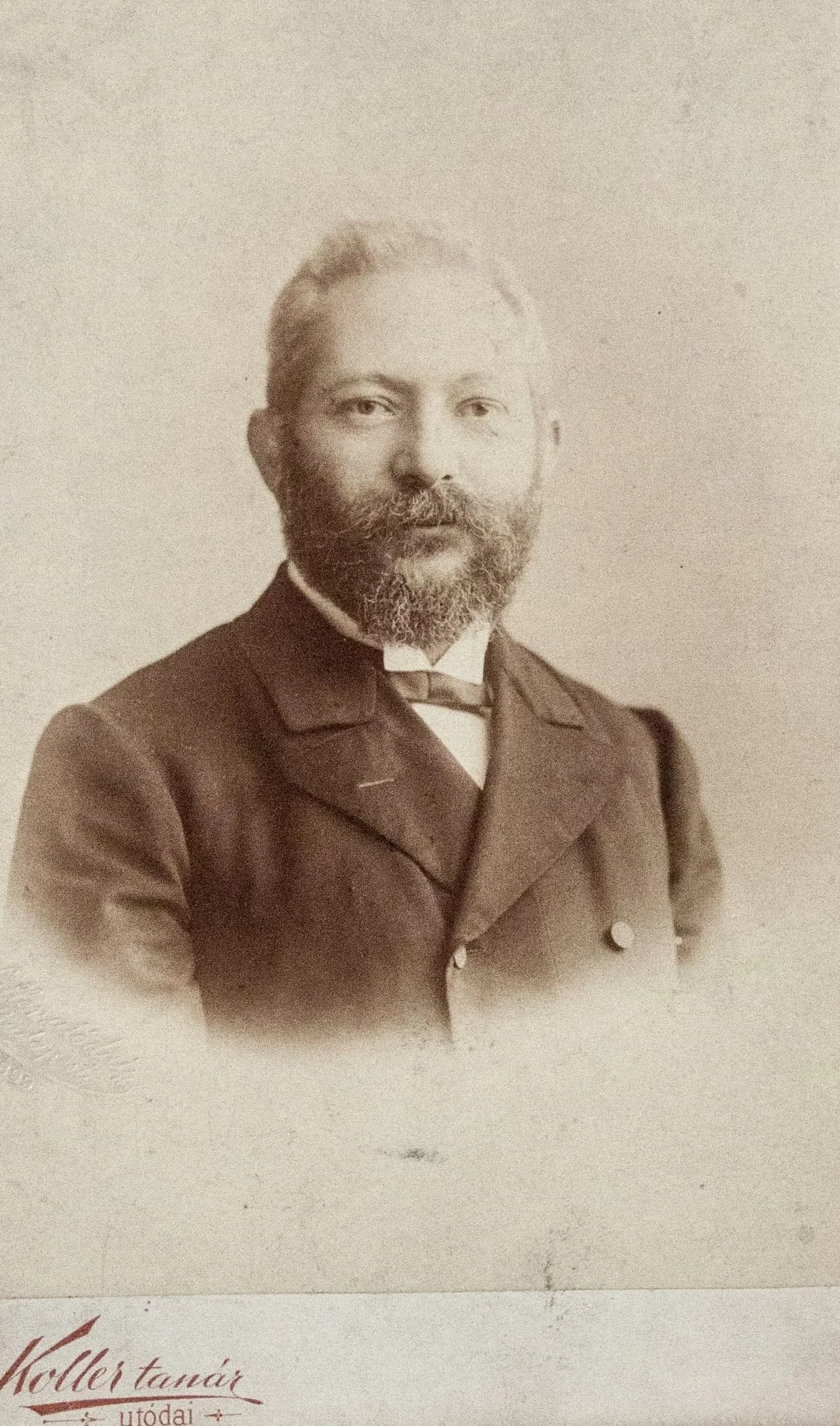 David Kaufmann