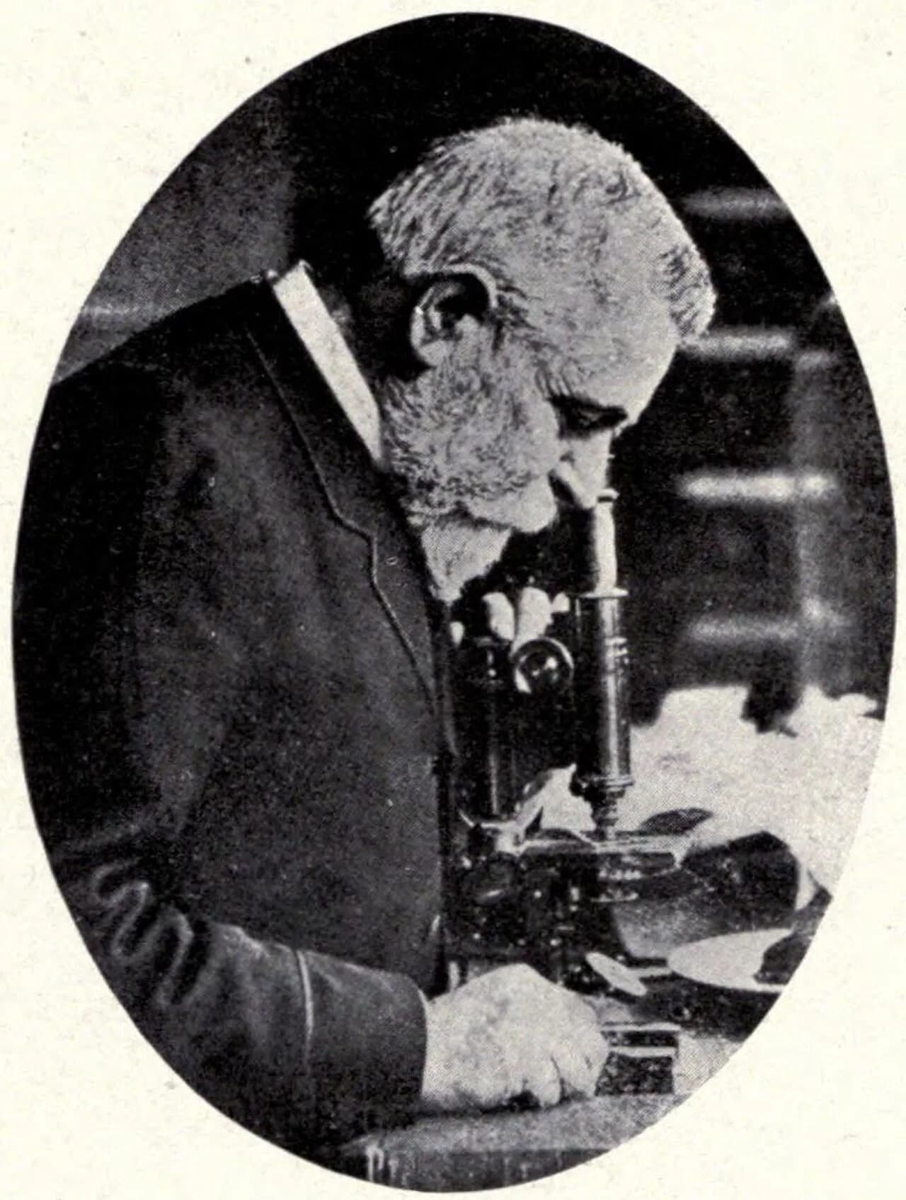 Édouard Ernest Prillieux