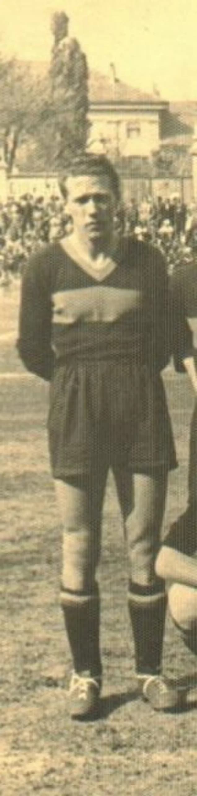 Antonio Peternel
