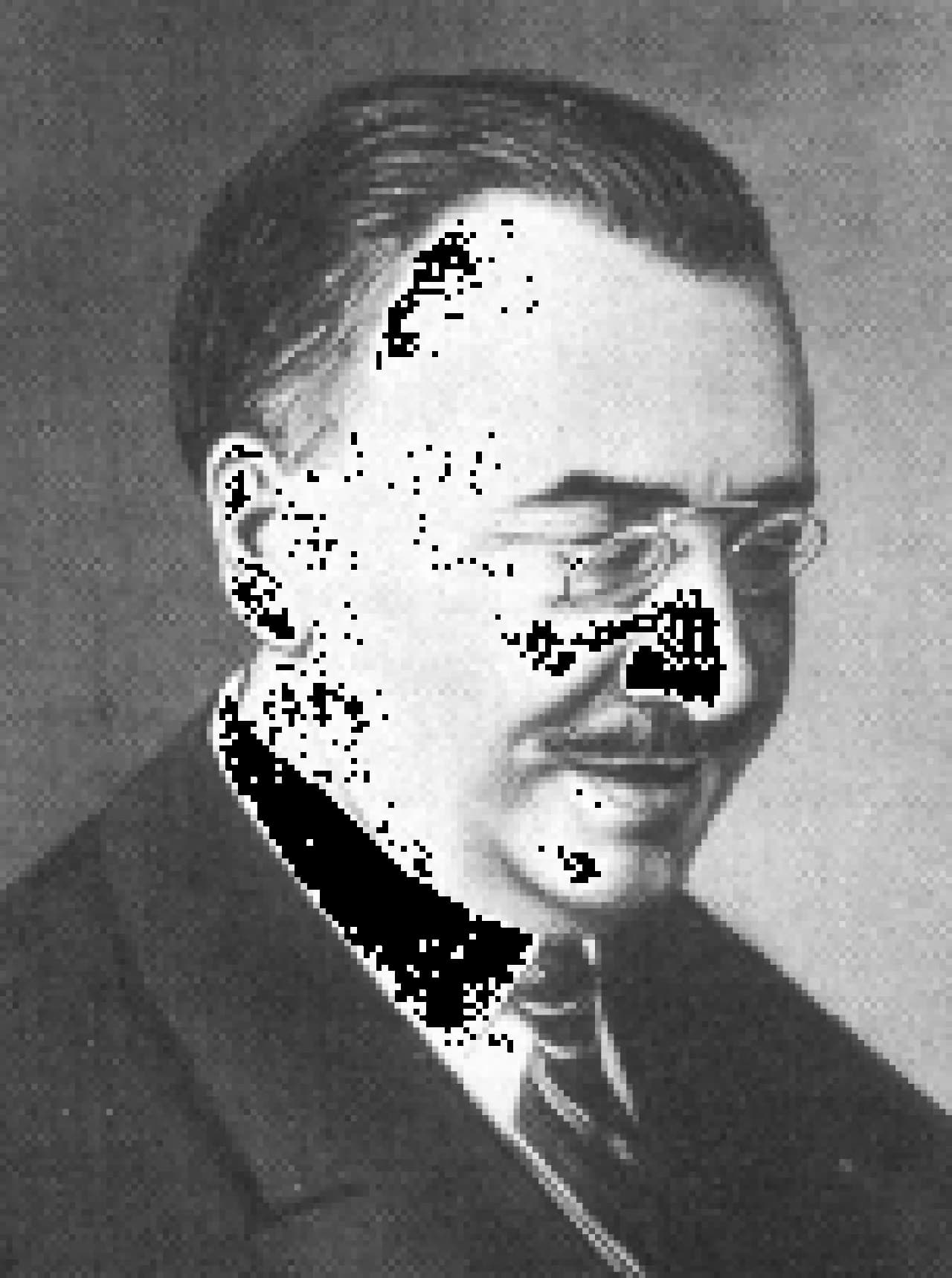 Arrigo Solmi