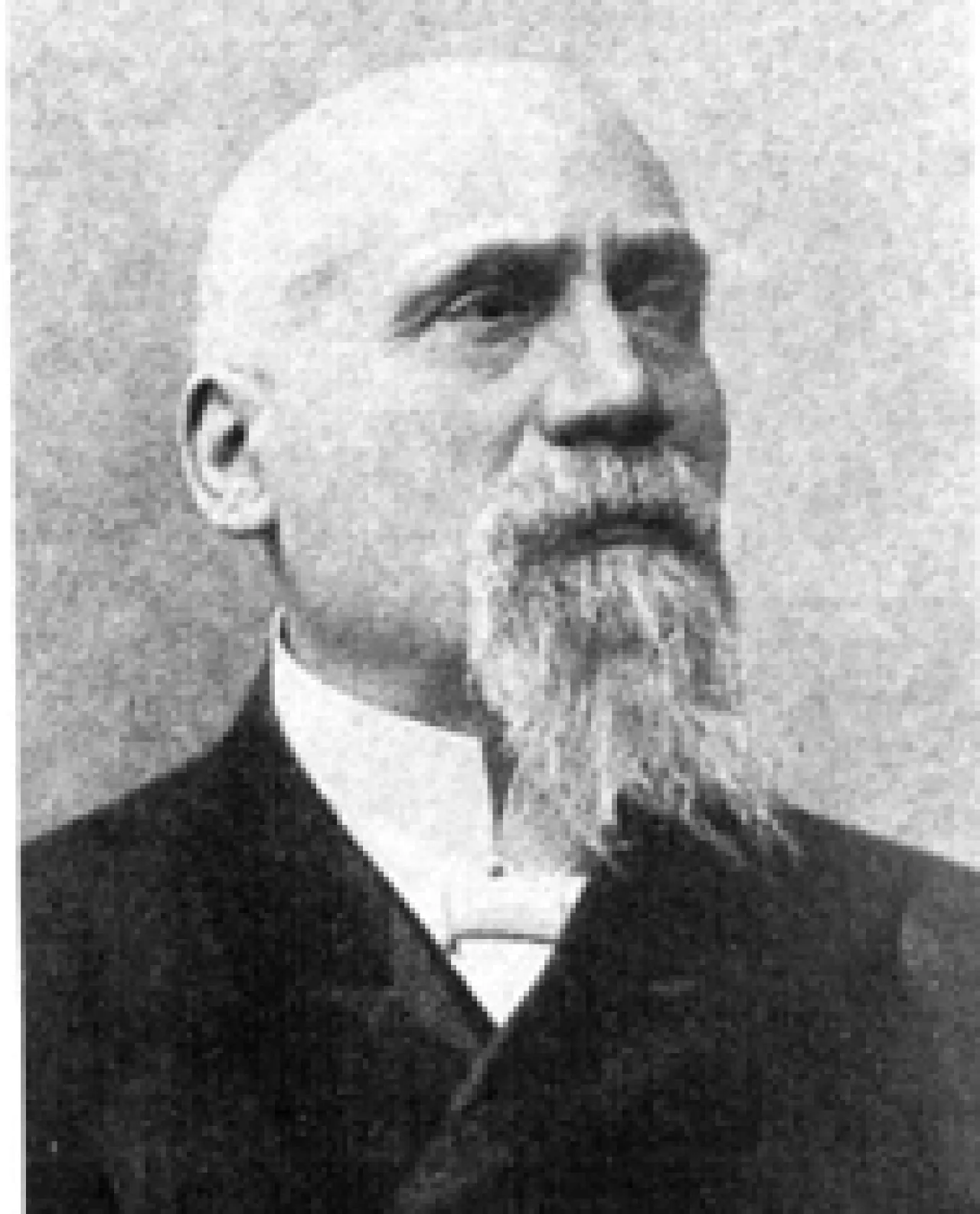 Arrigo Tamassia