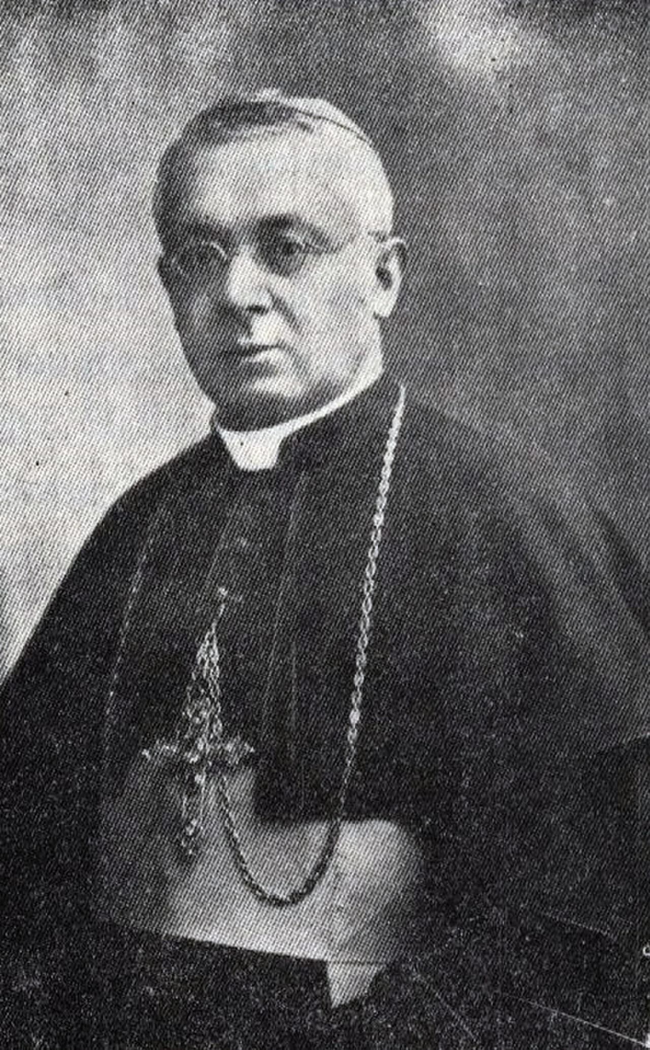 Augusto Curi