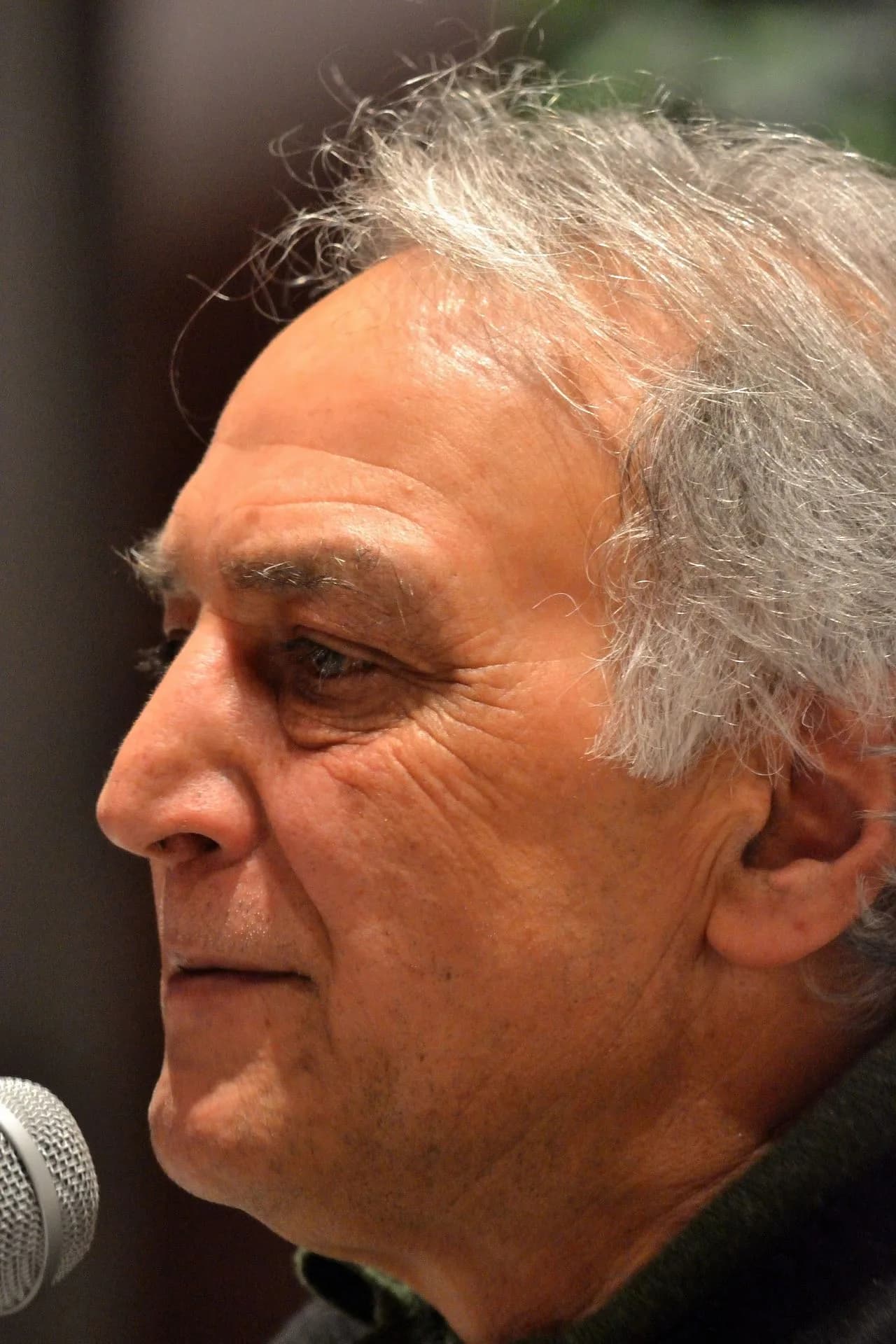 Bijan Zarmandili