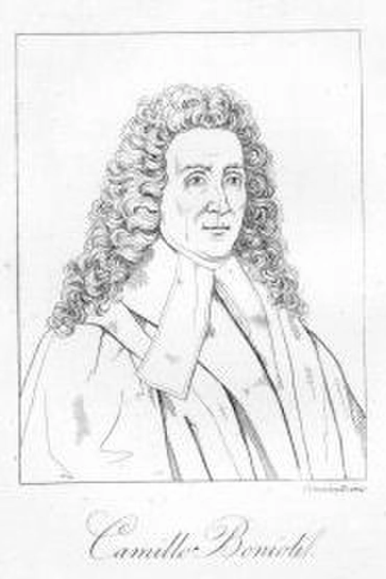 Camillo Bonioli