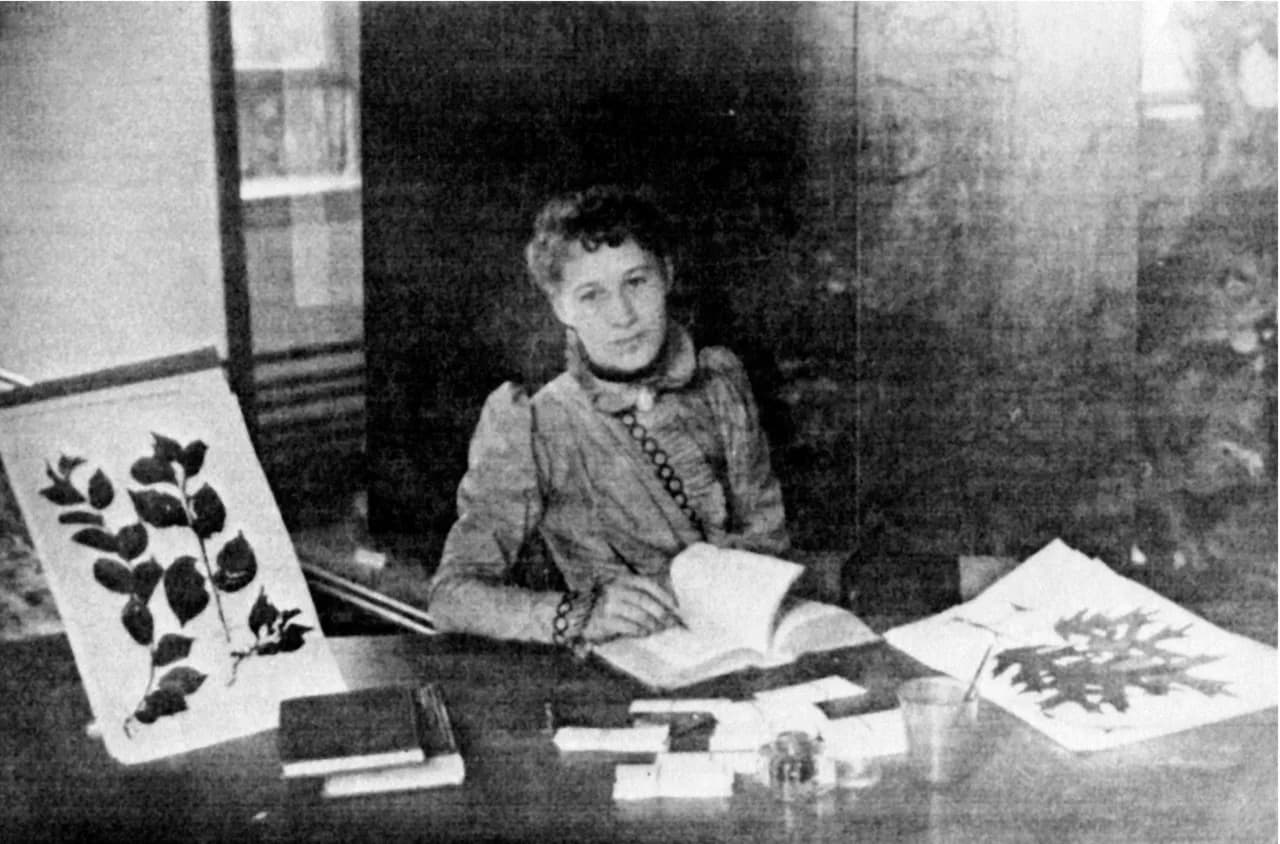 Minnie Reed