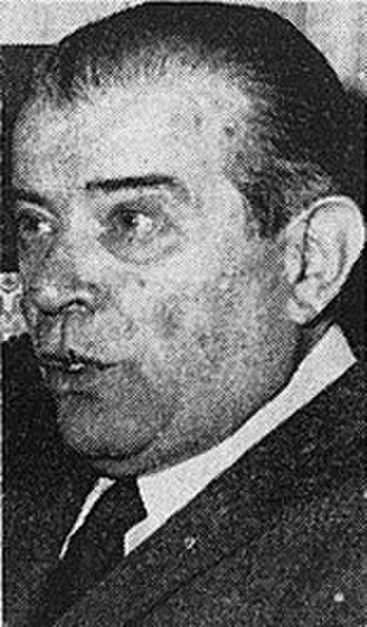 Cinico Angelini