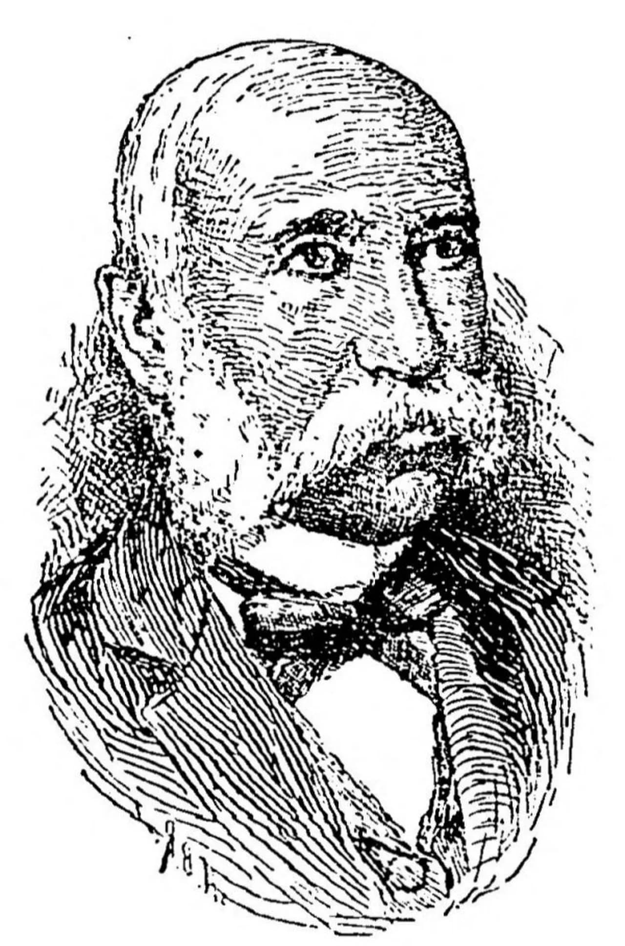 David Levi