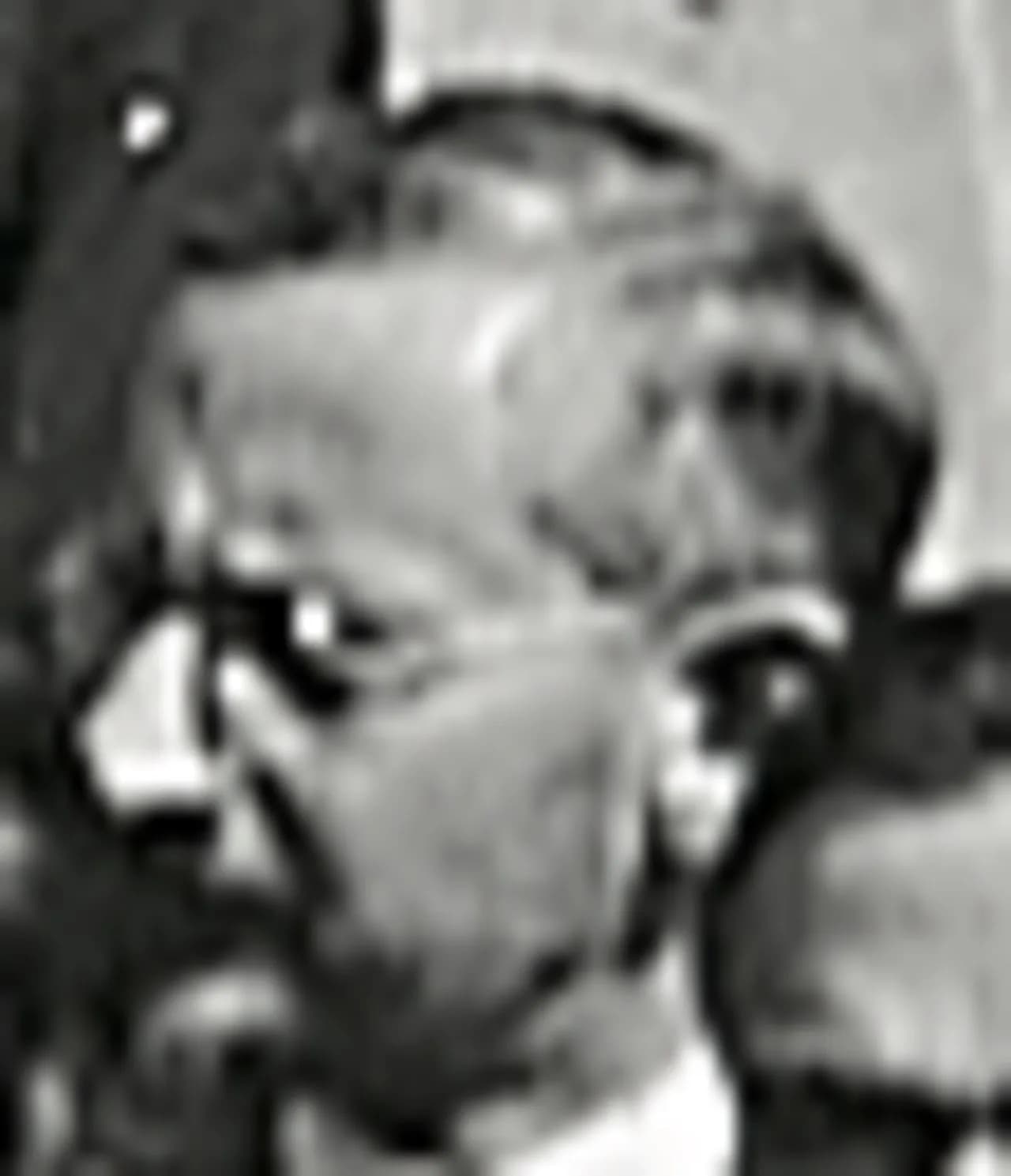 Wallie Abraham Hurwitz