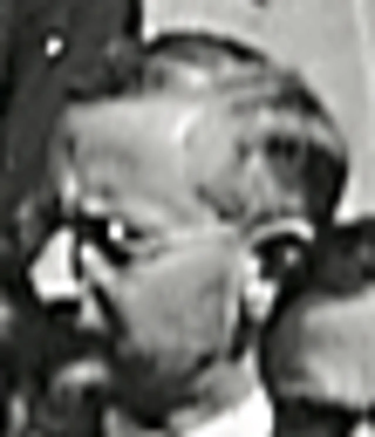 Wallie Abraham Hurwitz