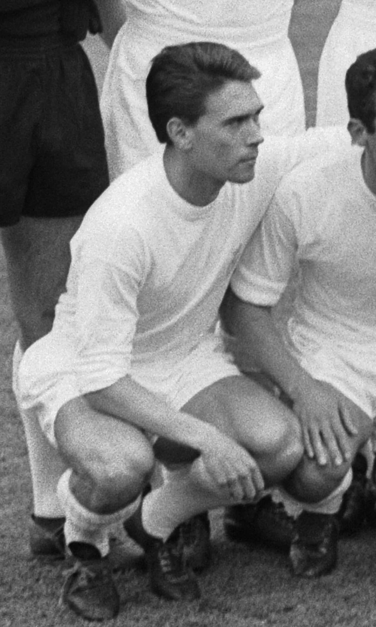 Fernando Serena