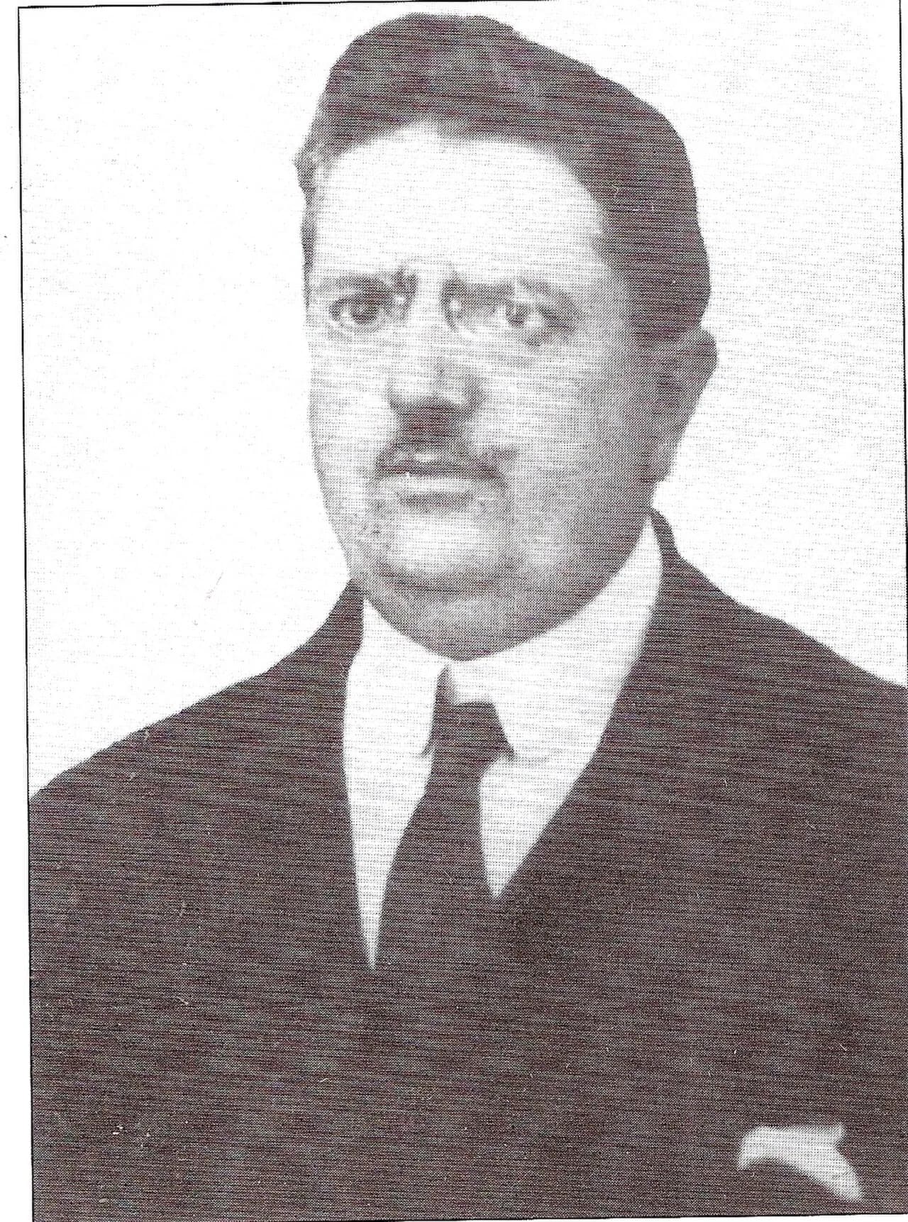 Gino Alfani
