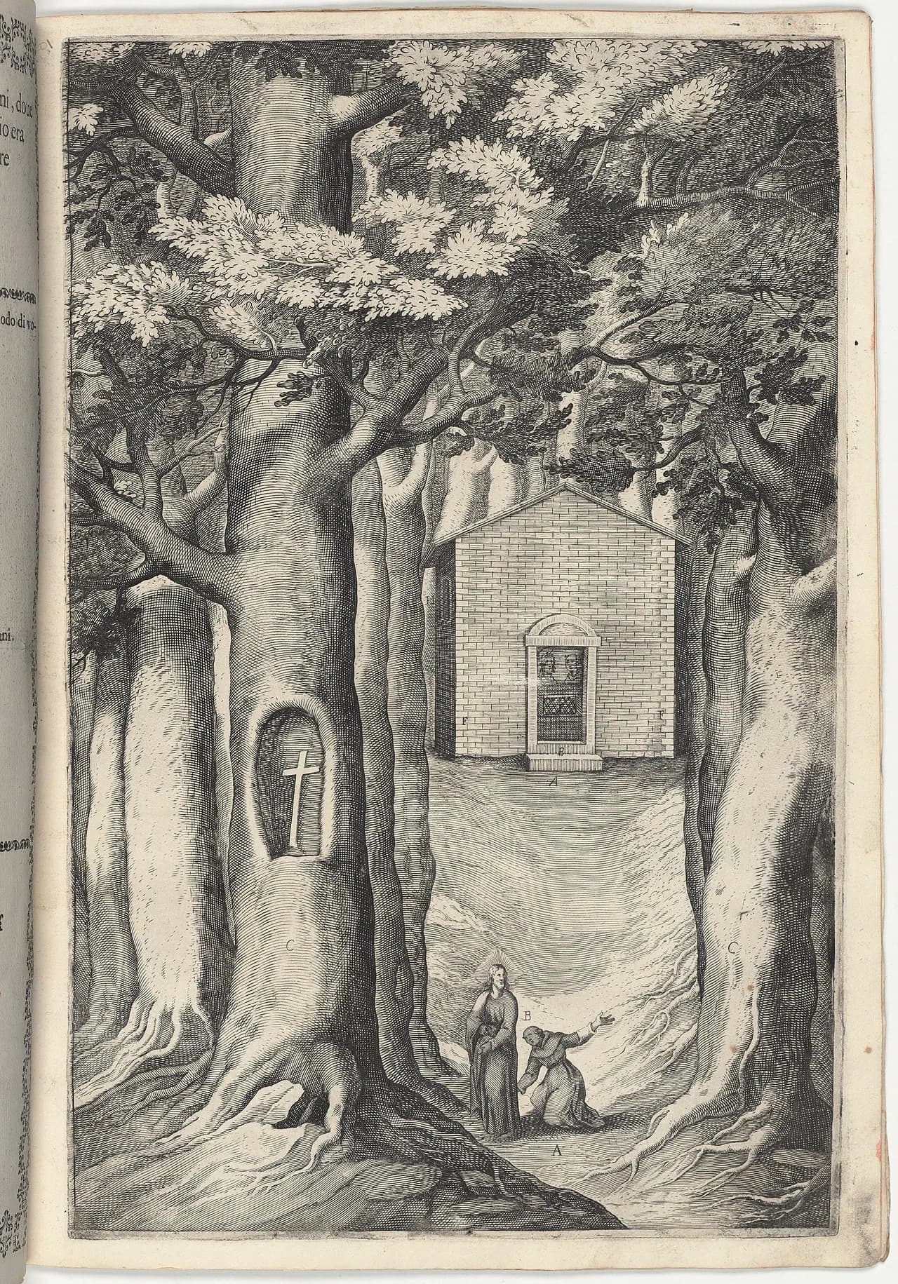 de Alvernia Johannes