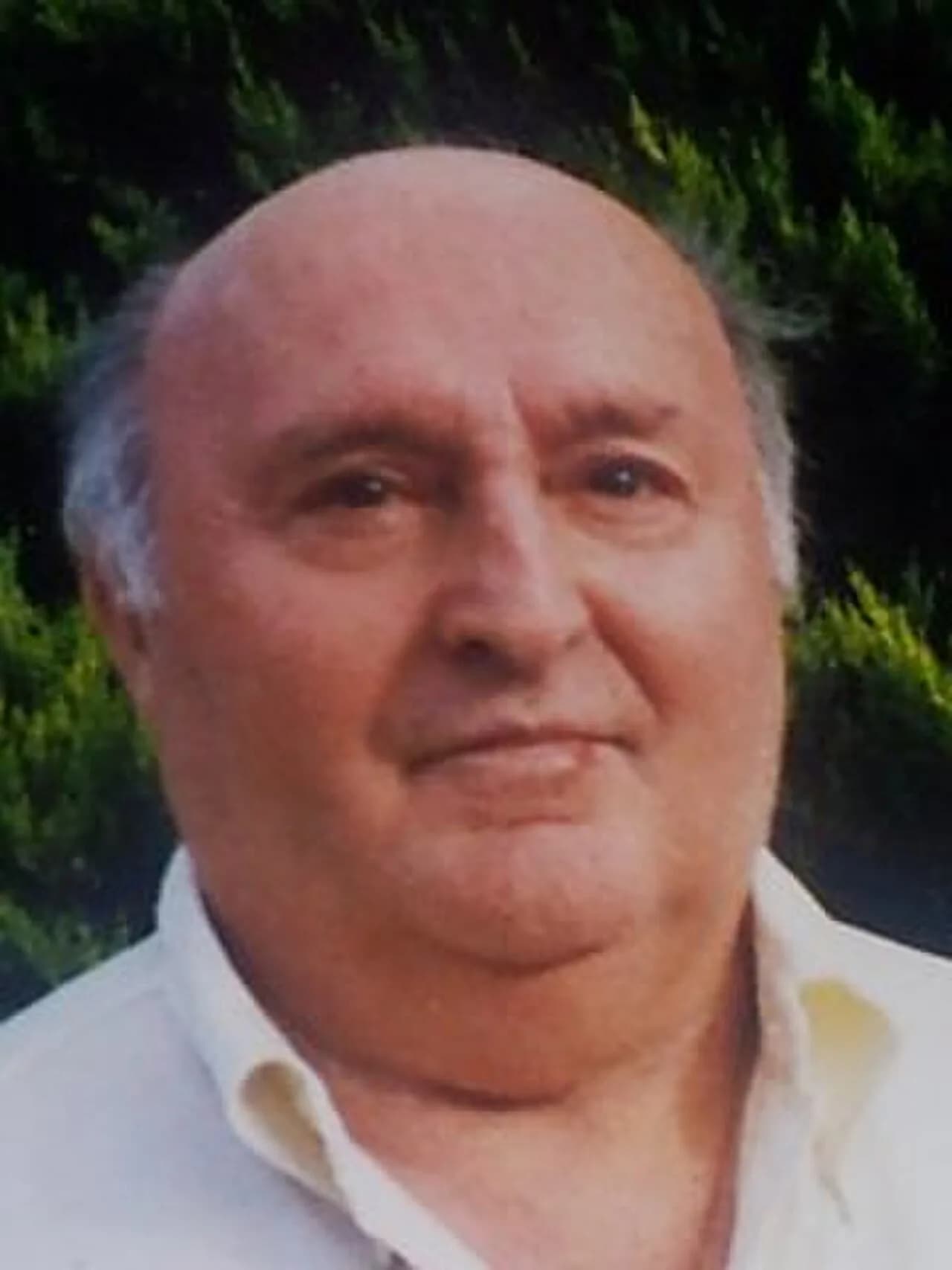 Fabián Estapé