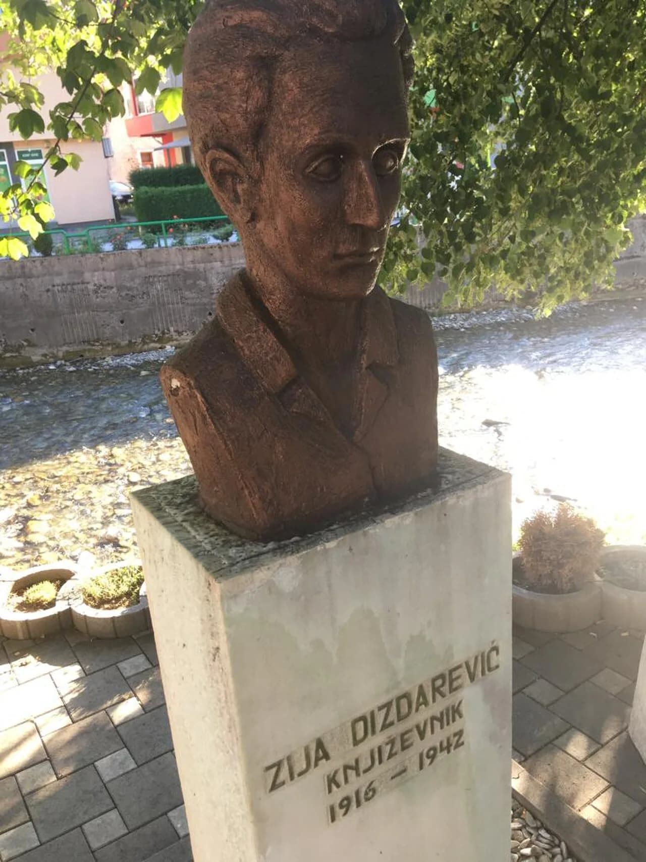 Zija Dizdarević