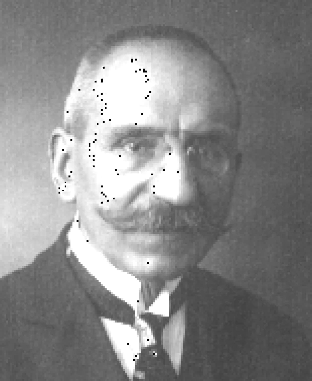 Natale Krekich