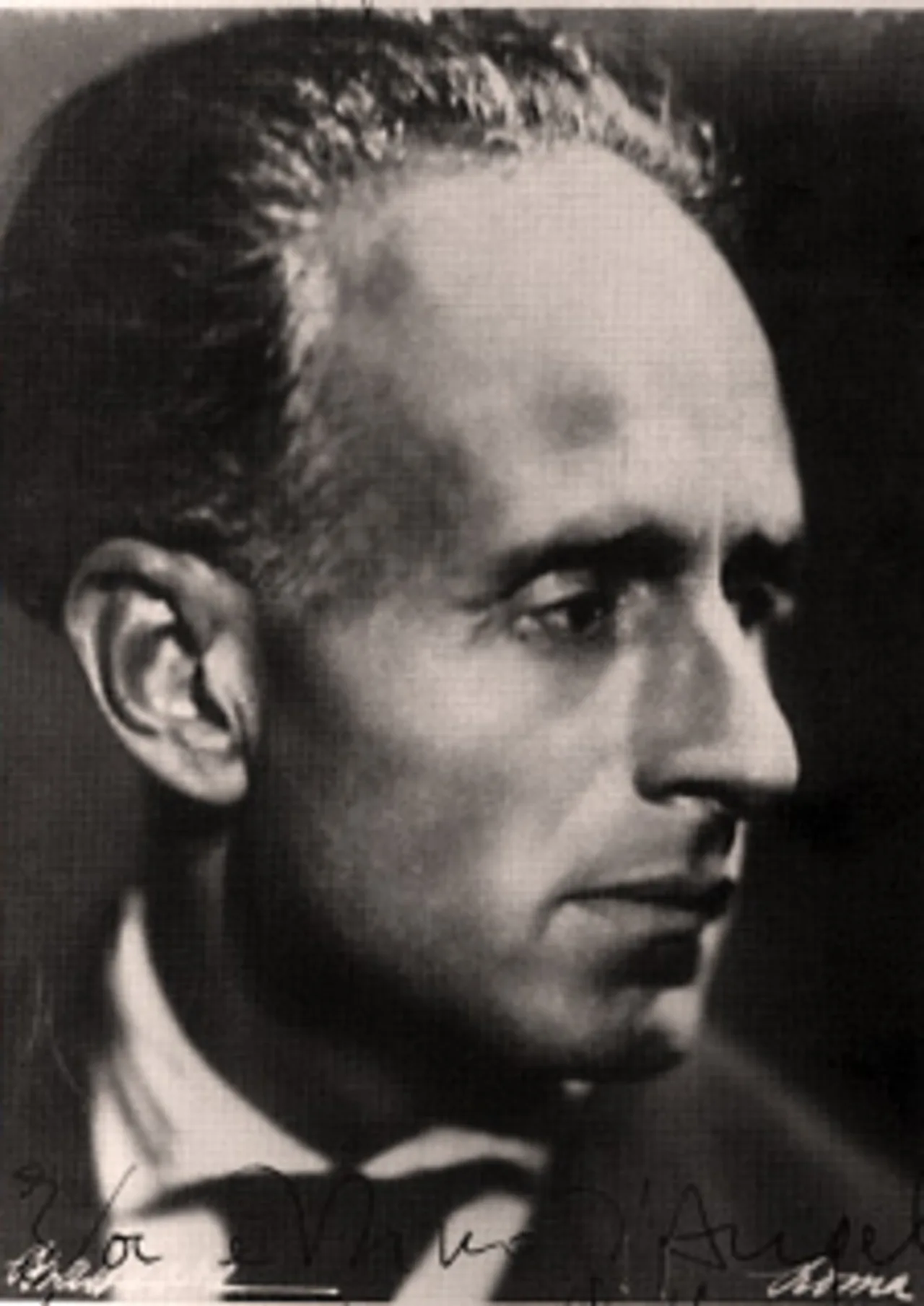 Nicola D'Antino