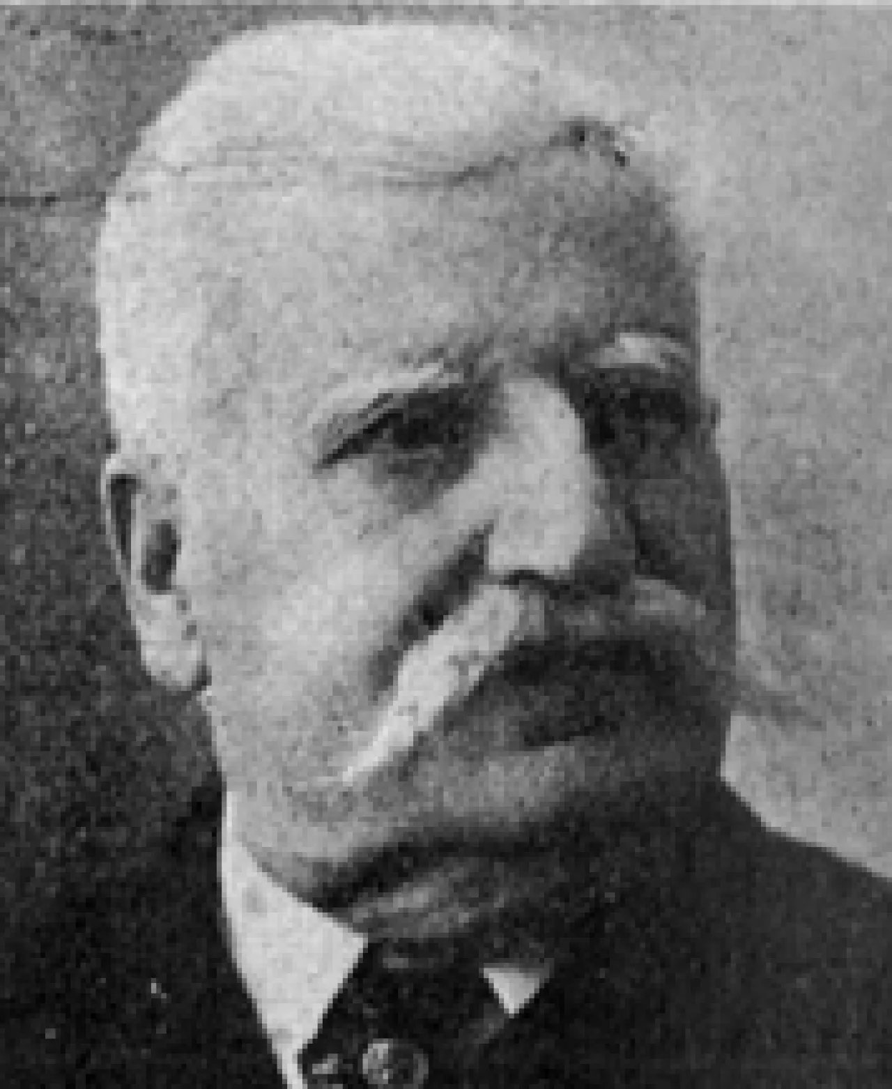 Nicolò Melodia
