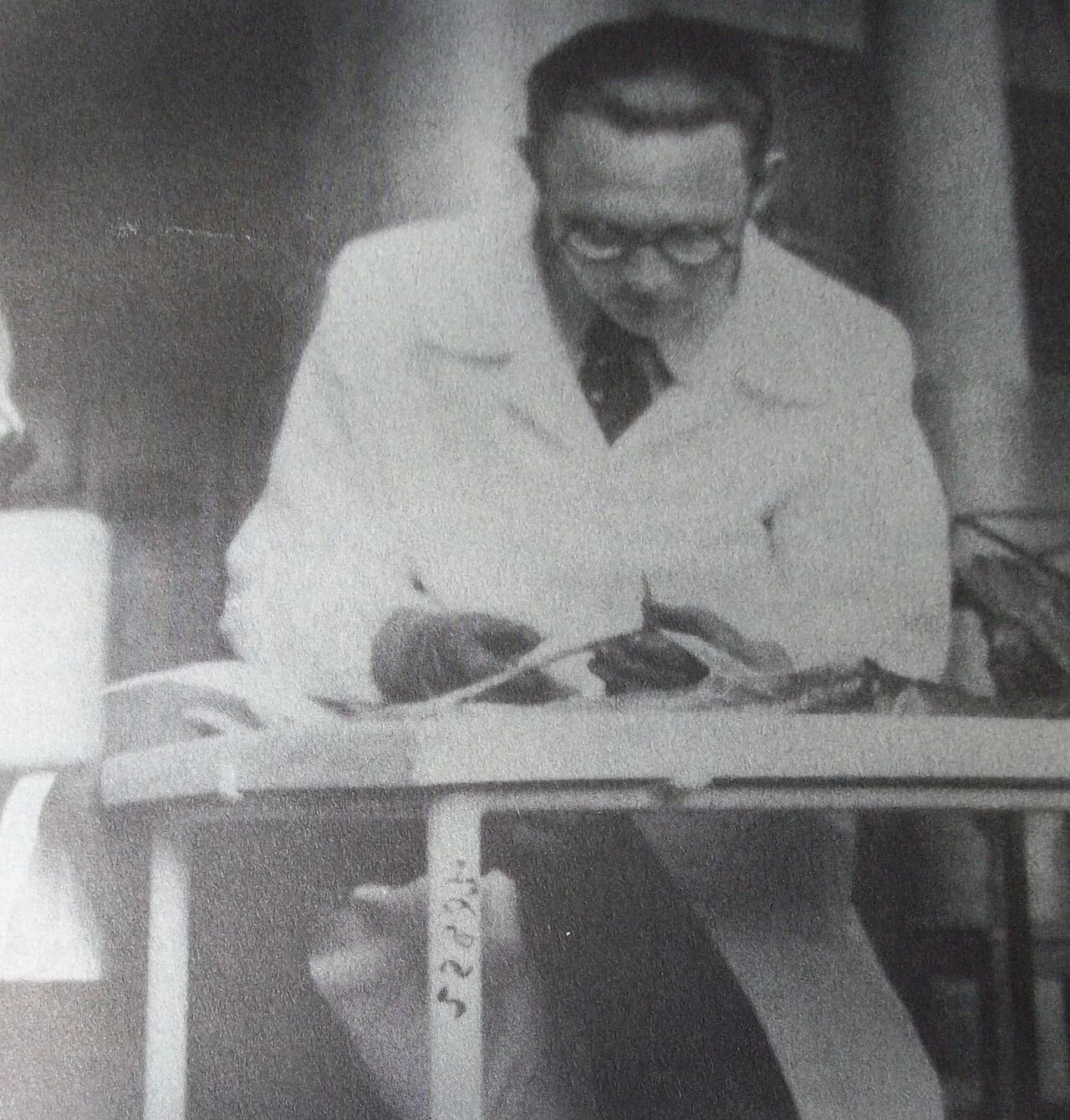 Simone Teich Alasia