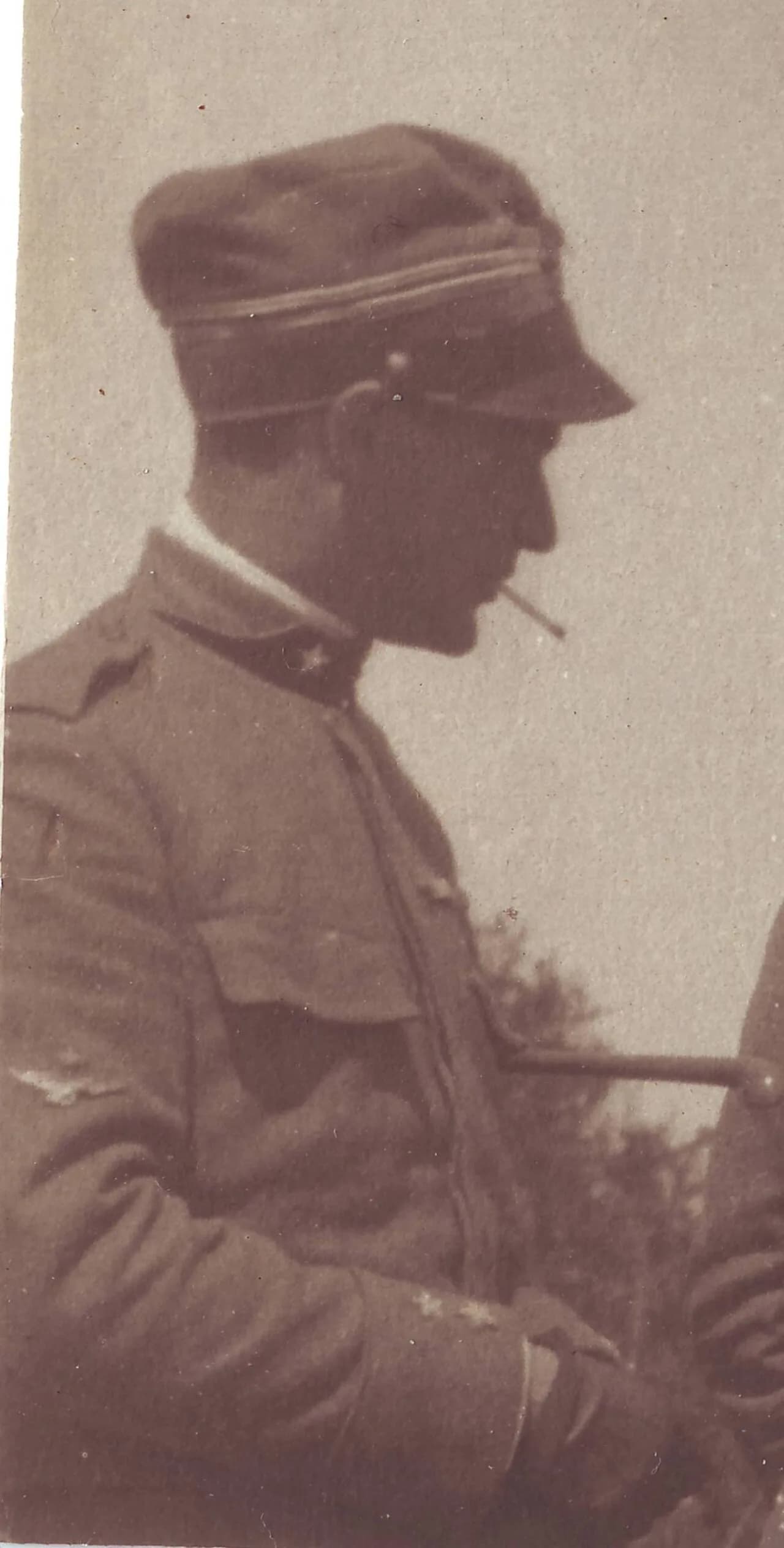 Stefanio Fedeli