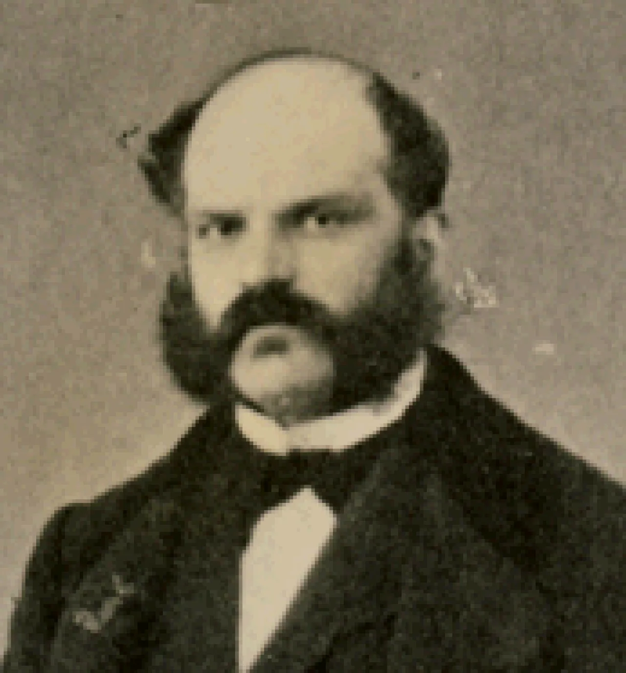 Tommaso Lauri