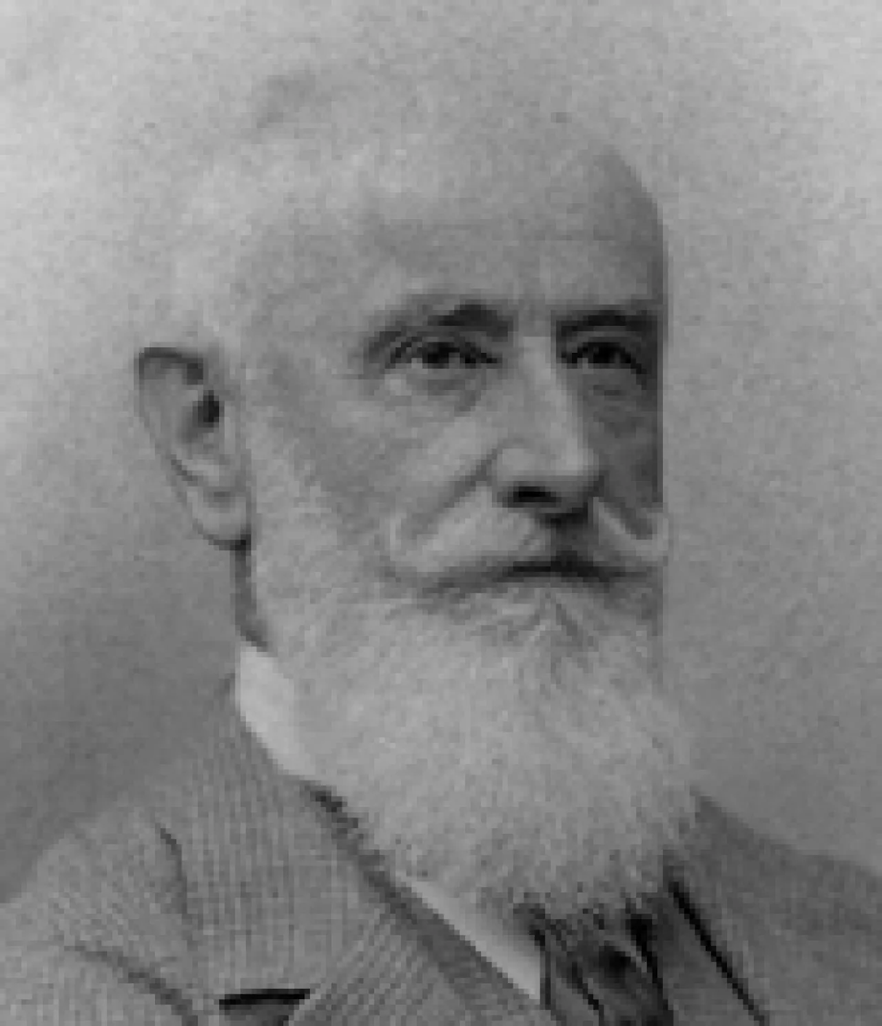 Venceslao Spalletti
