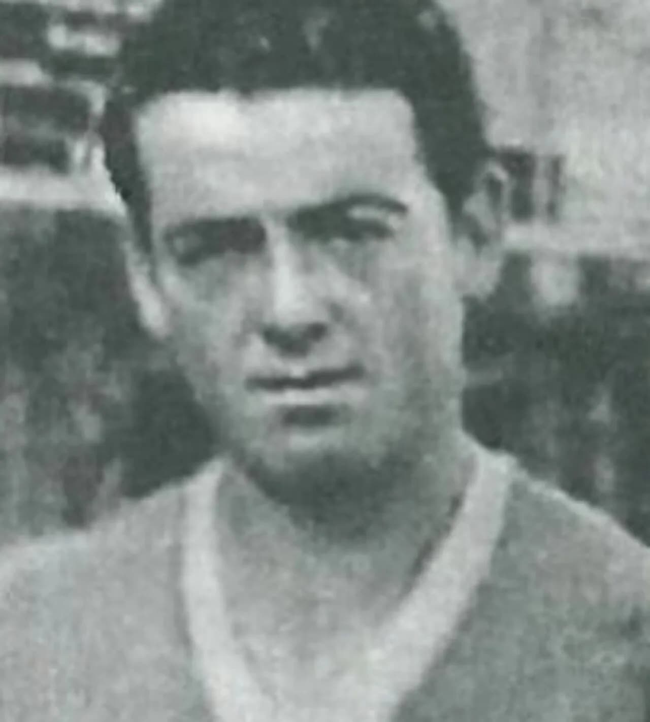 Vinicio Viani