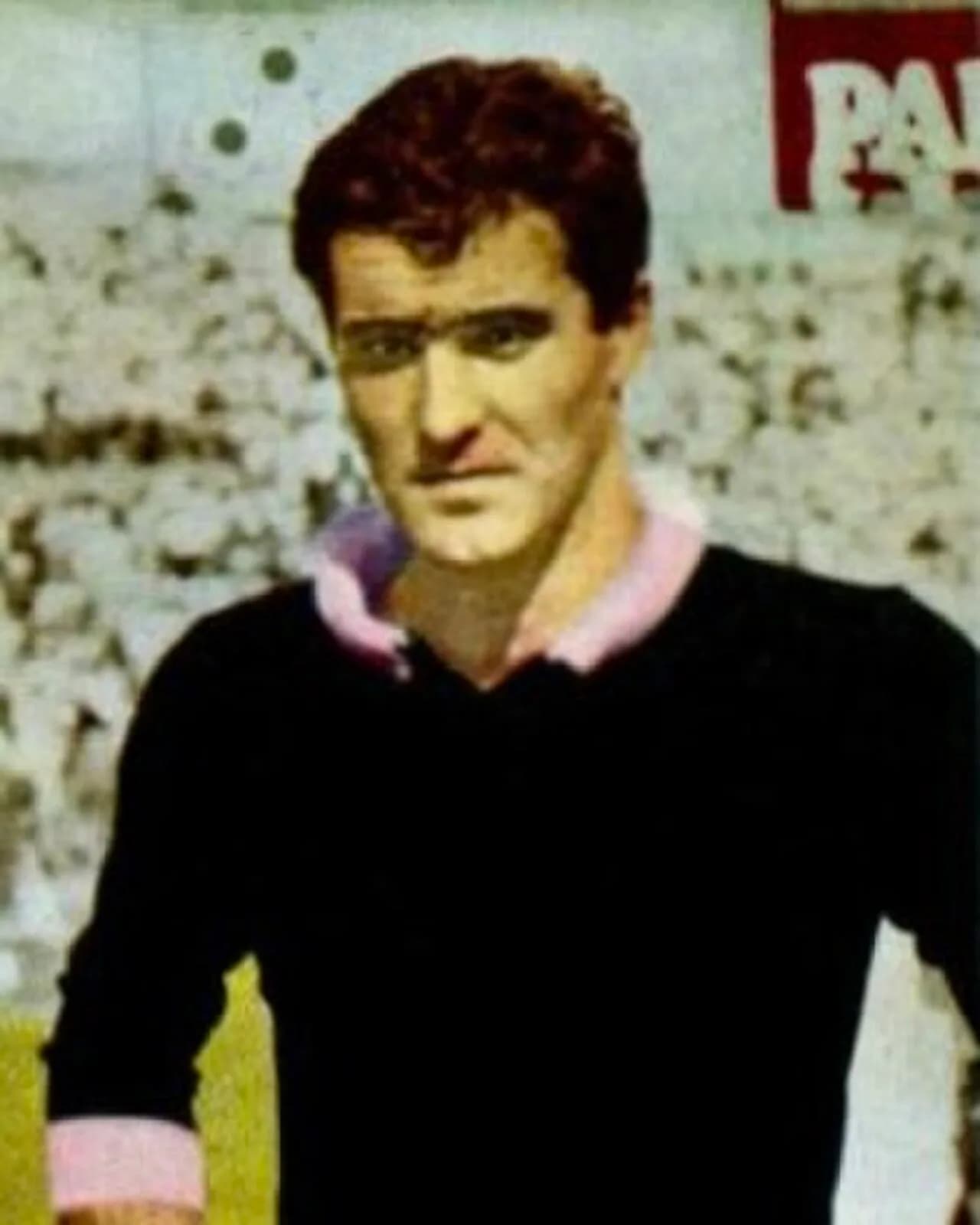 Walter Pontel