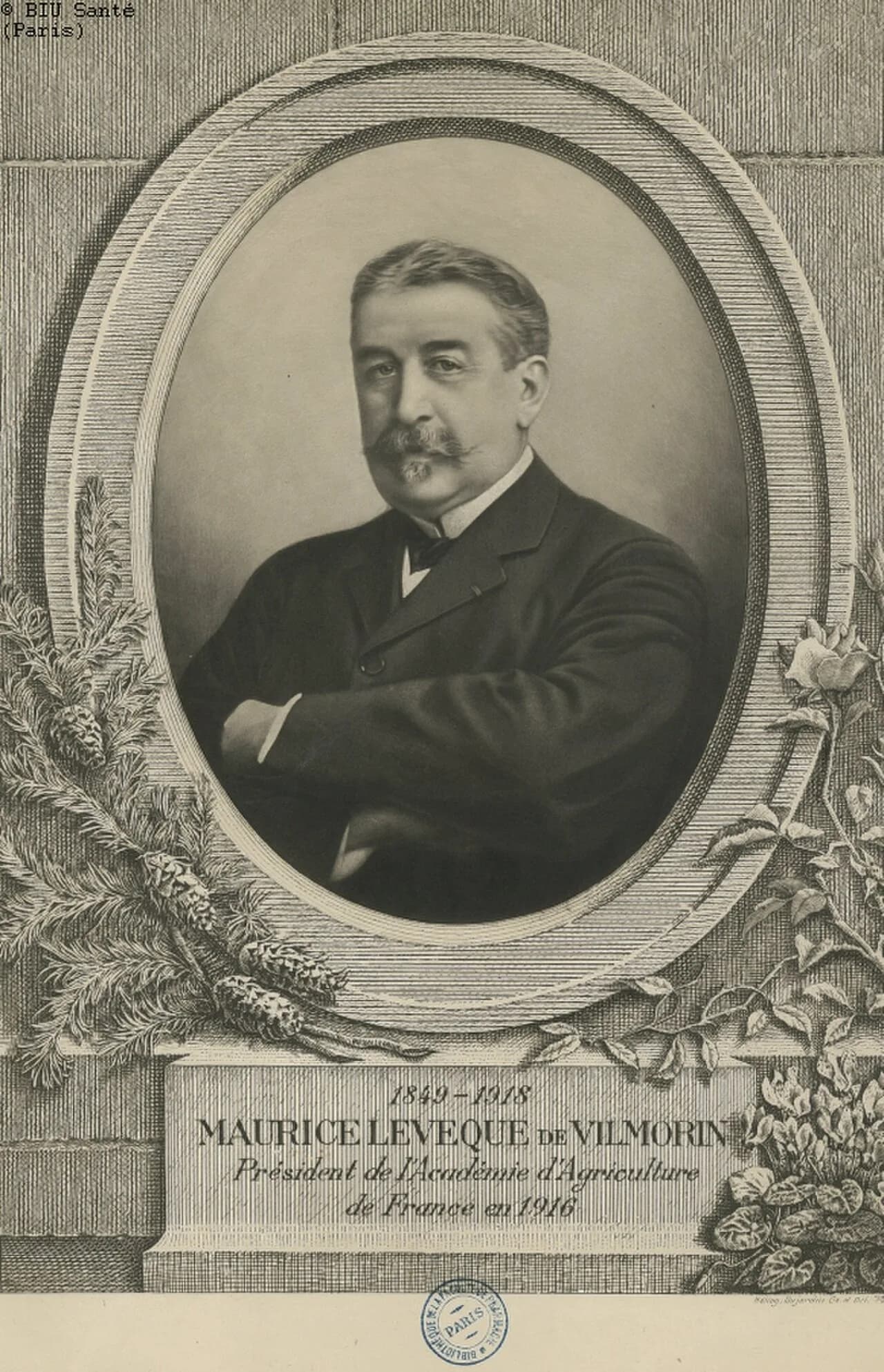 Maurice de Vilmorin