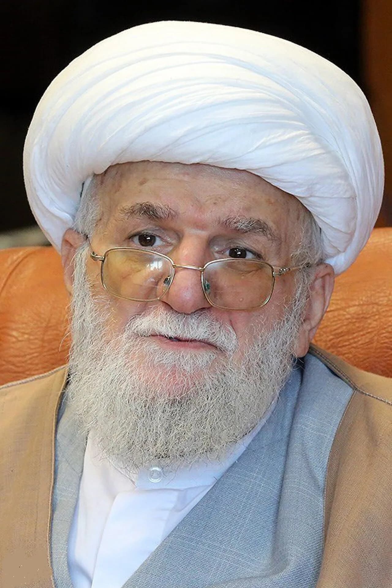 Mohammad Ali Taschiri