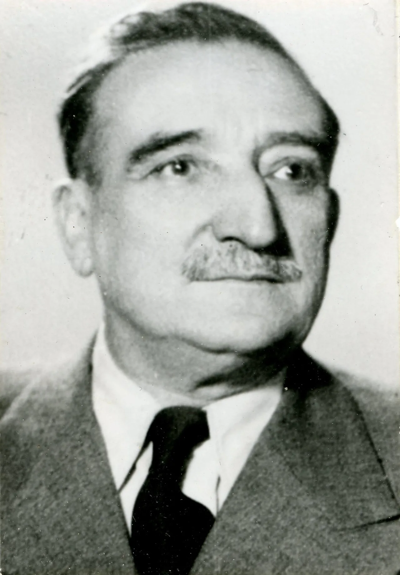 Dimitrije Vasiljević Georgijević