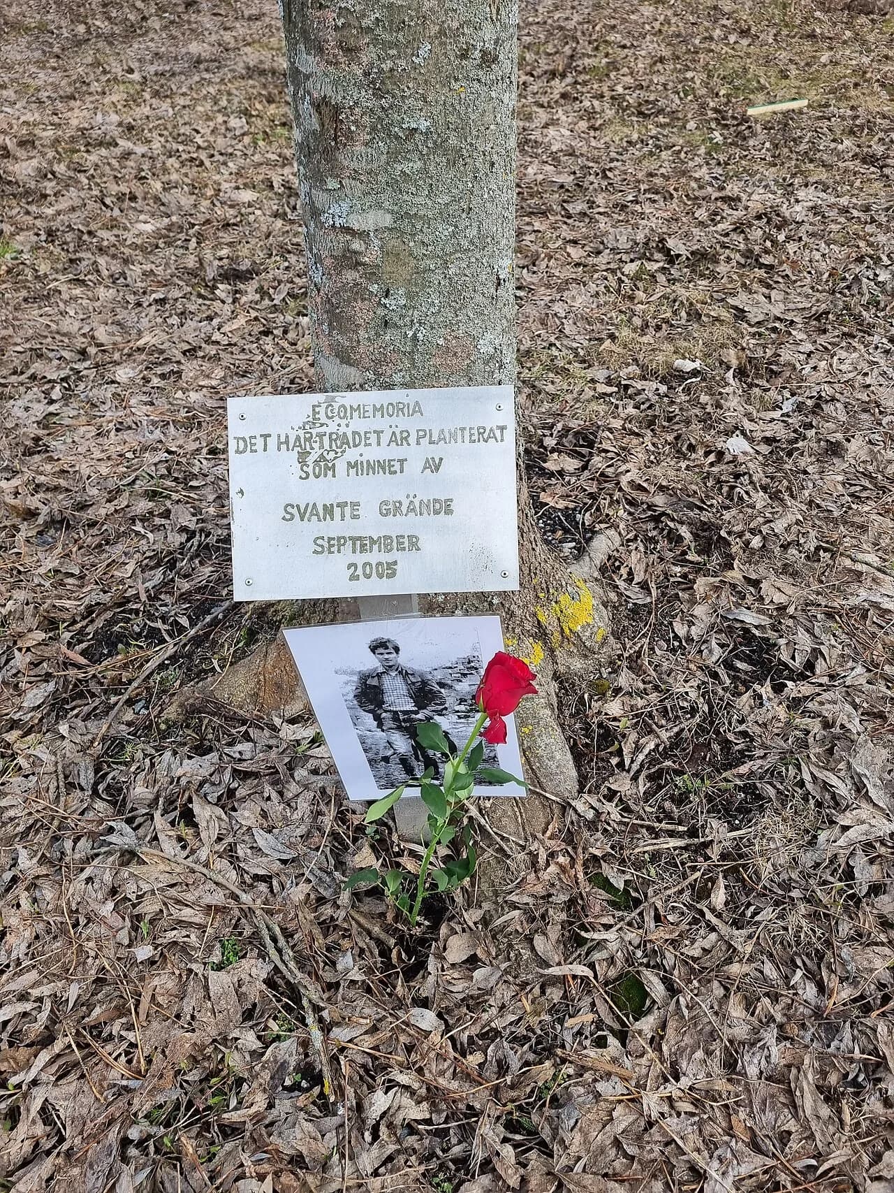 Svante Grände