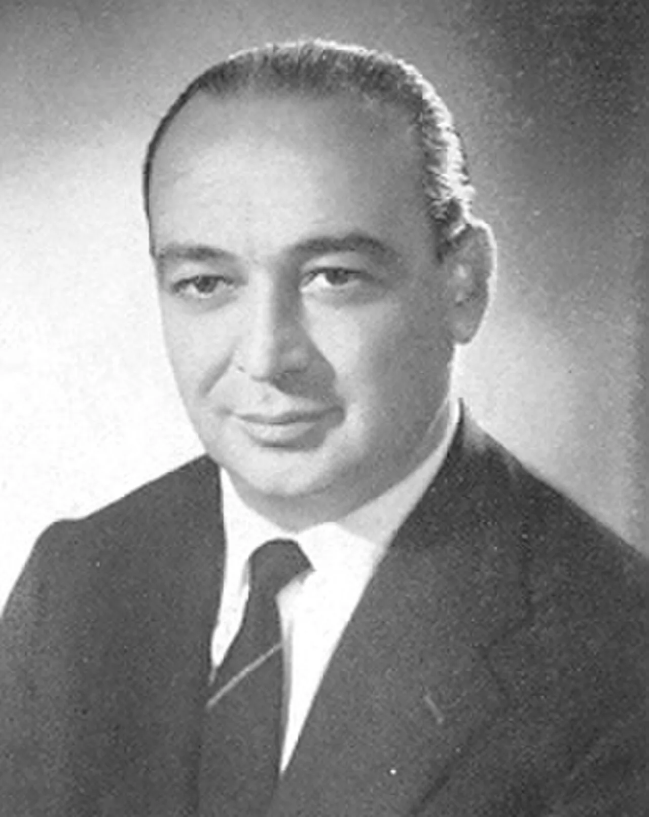 Vincenzo Raucci