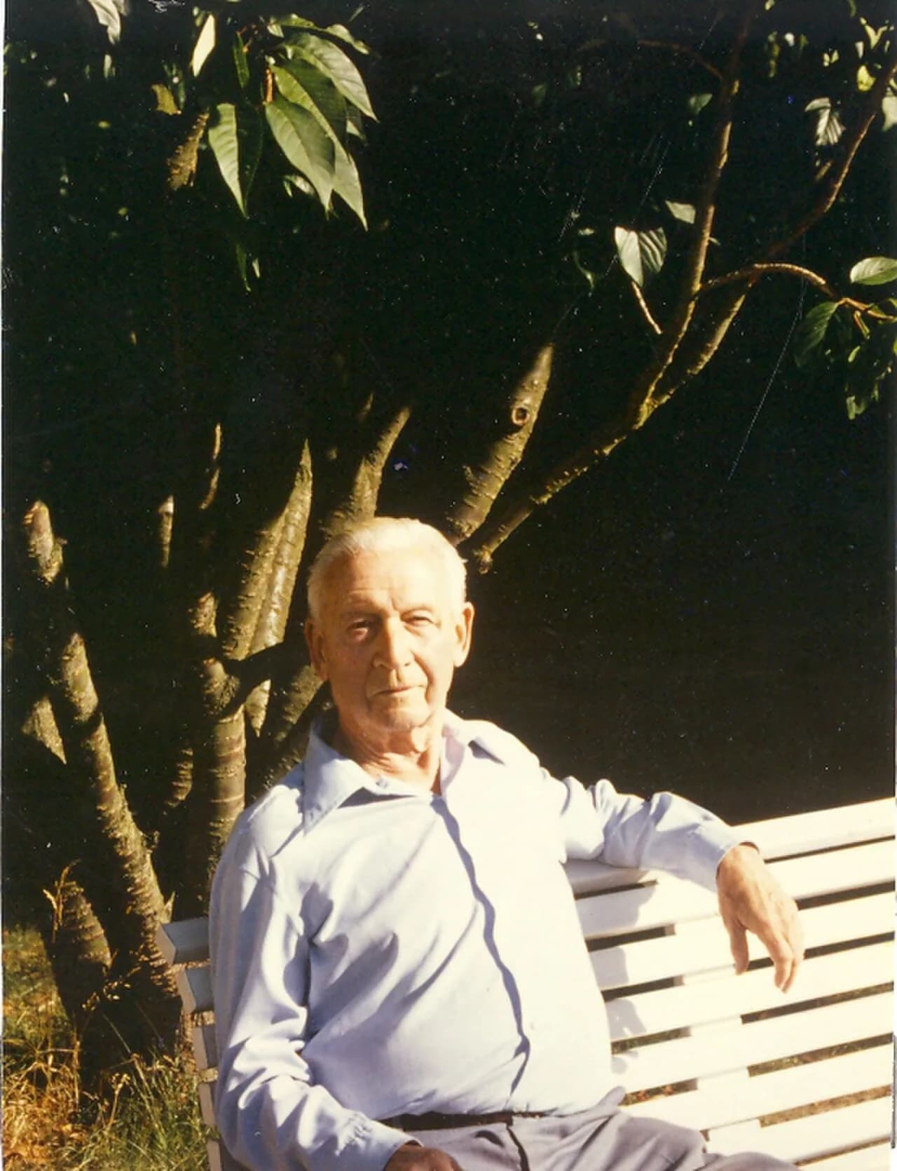 Wladimir Wladimirowitsch Sweginzow