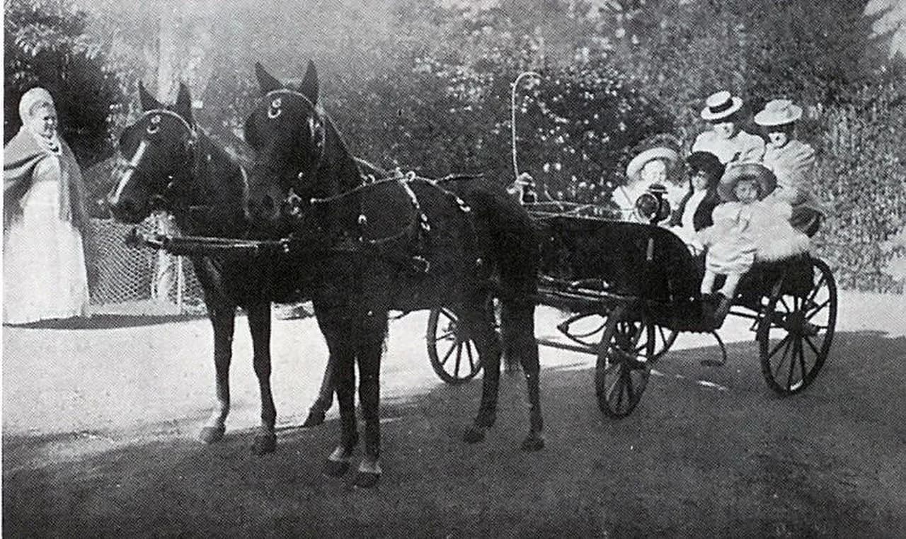 Margaretta Eagar